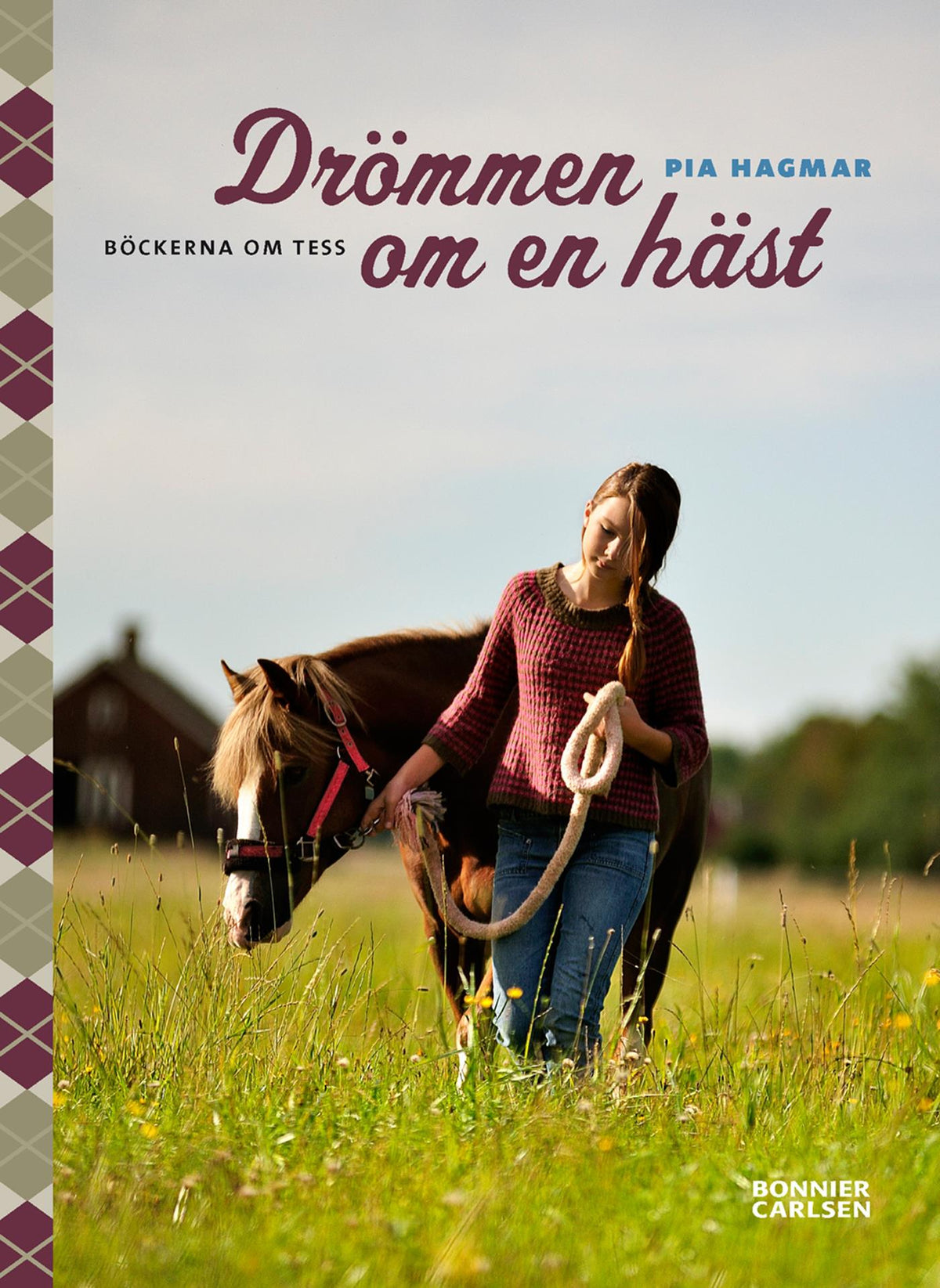 Drömmen om en häst – E-bok