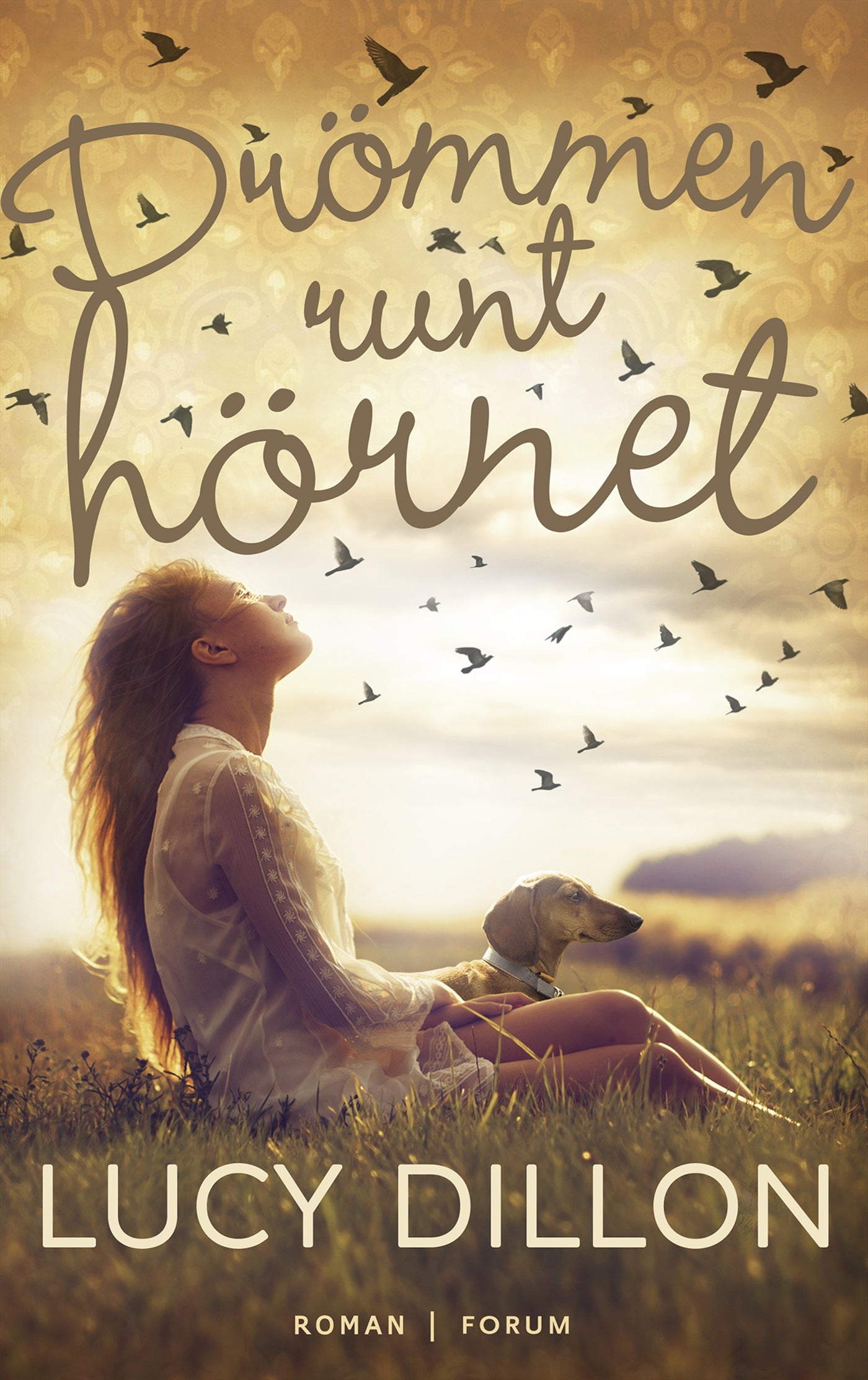 Drömmen runt hörnet – E-bok