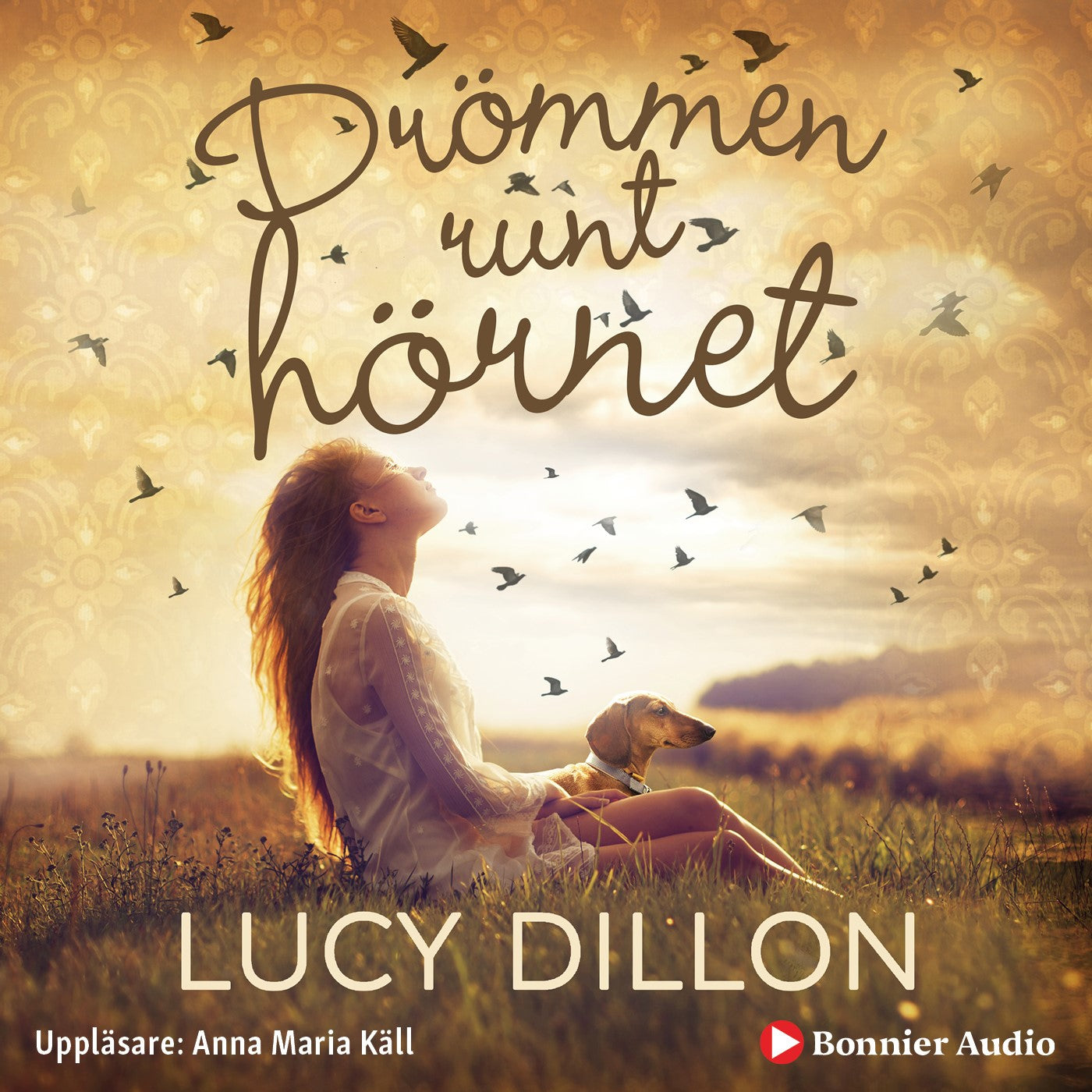 Drömmen runt hörnet – Ljudbok