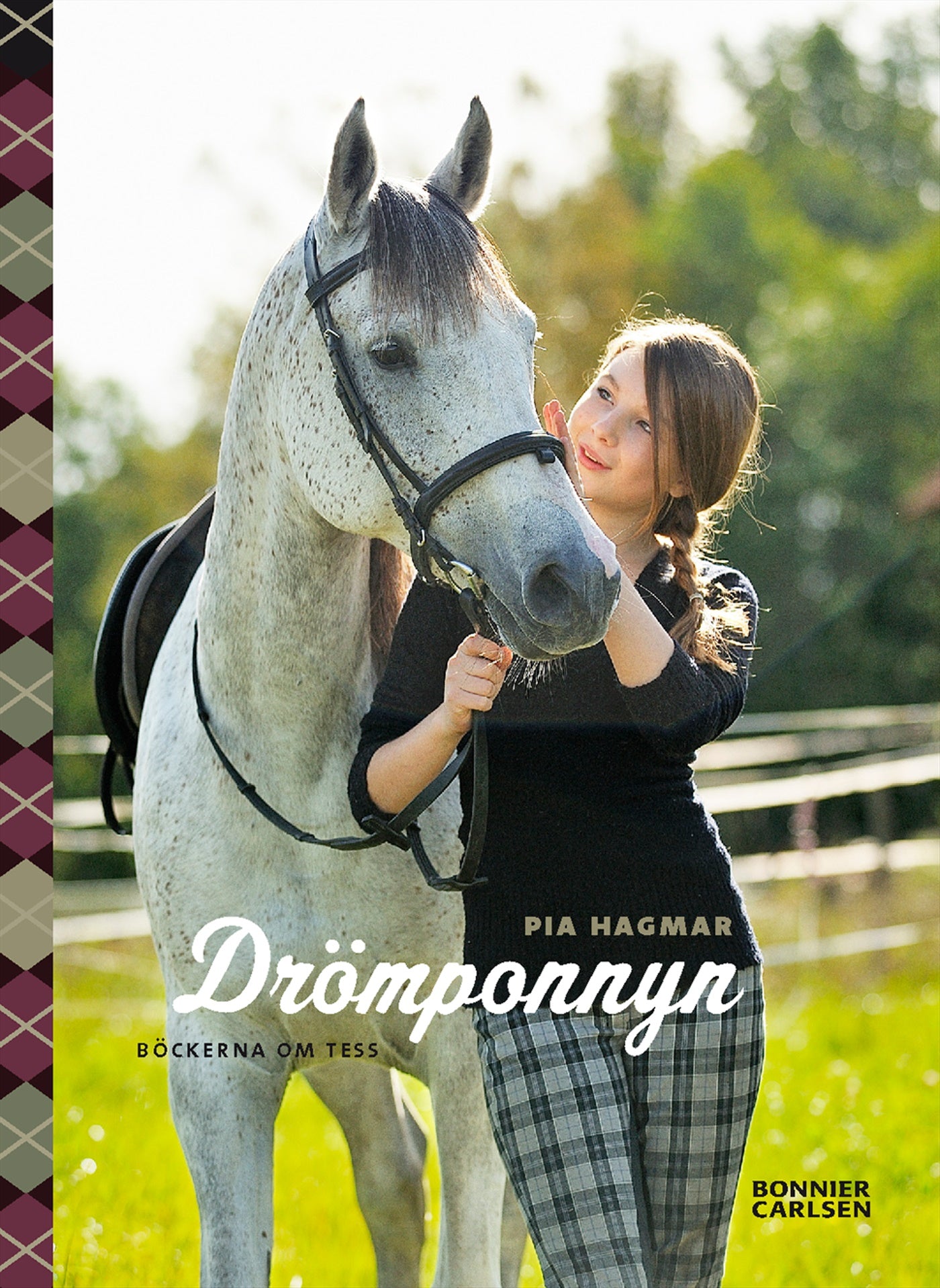 Drömponnyn – E-bok
