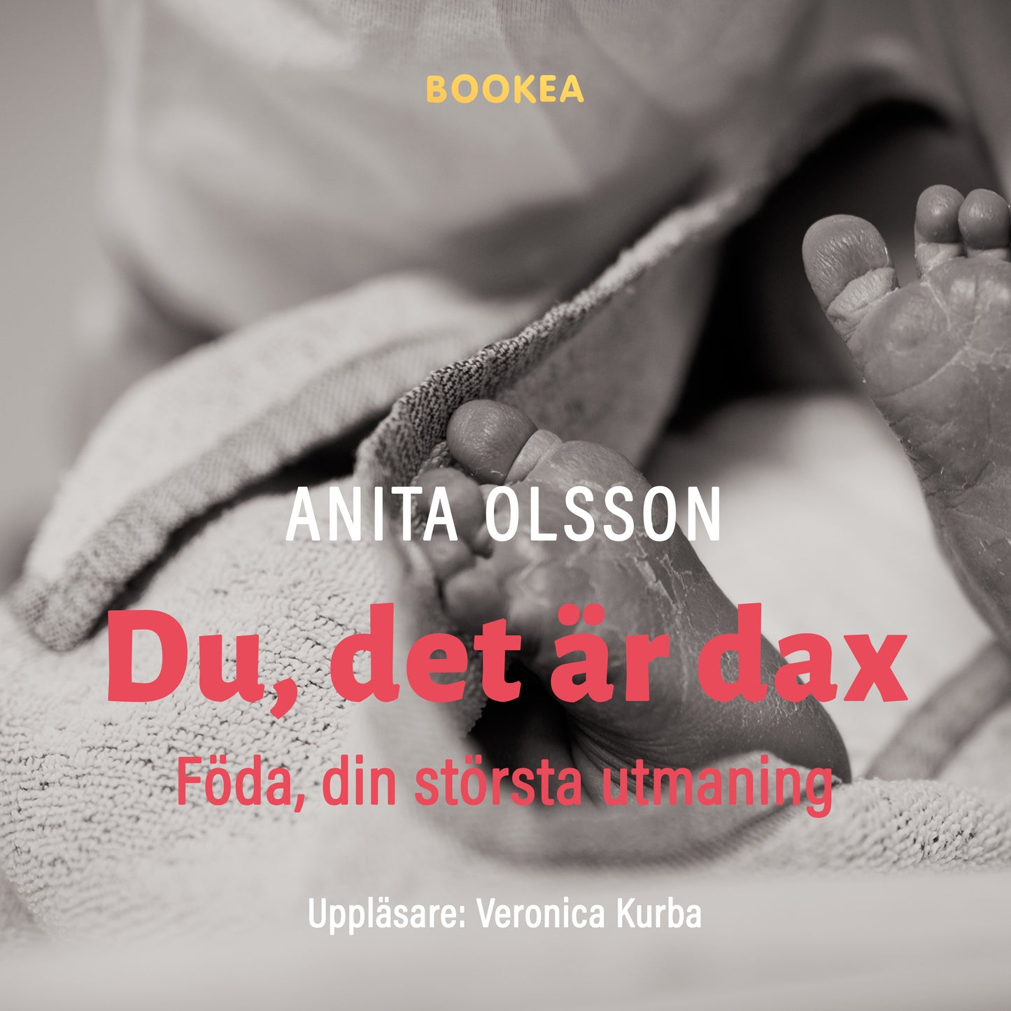 Du det är dax : föda din största utmaning – Ljudbok