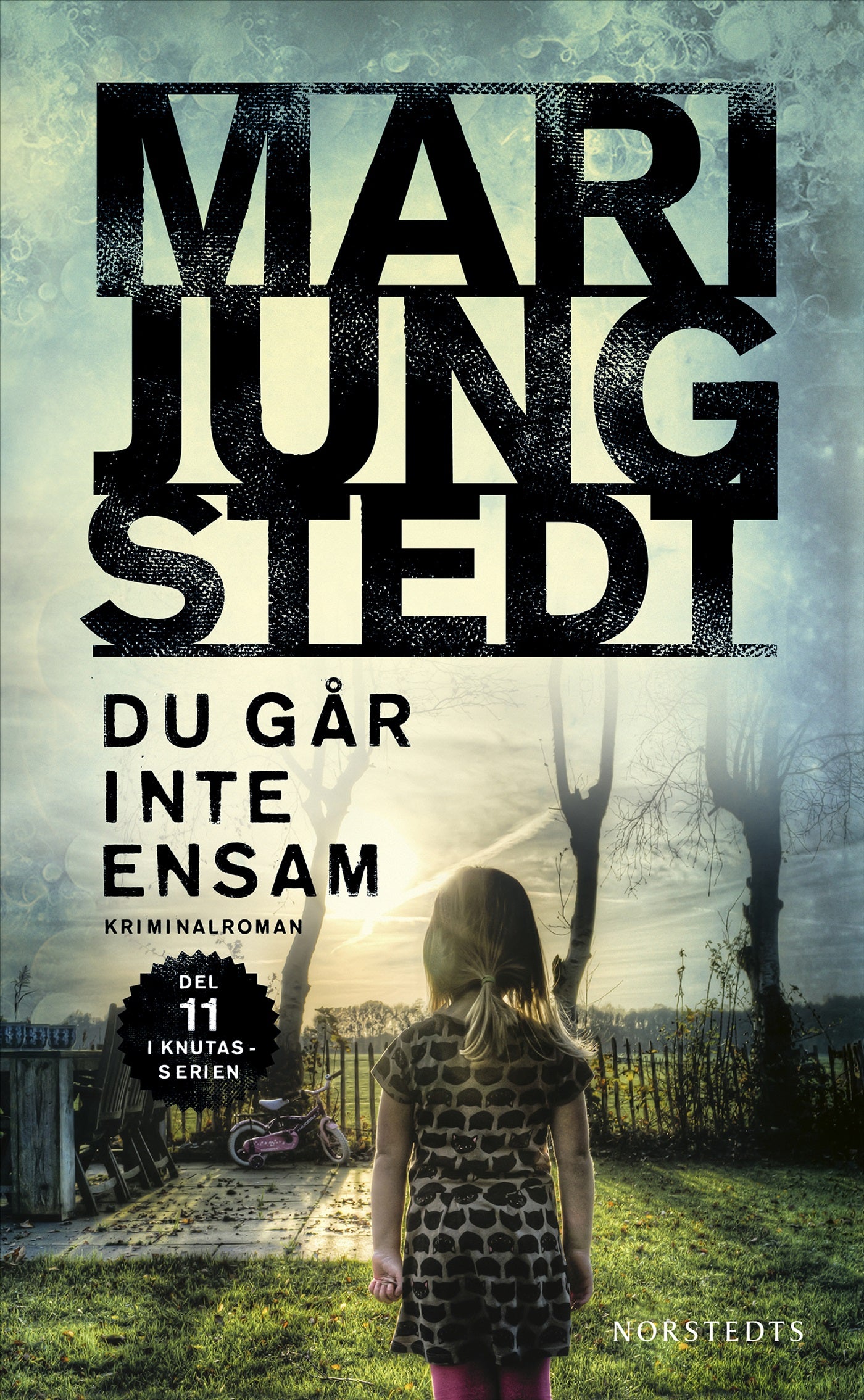 Du går inte ensam – E-bok