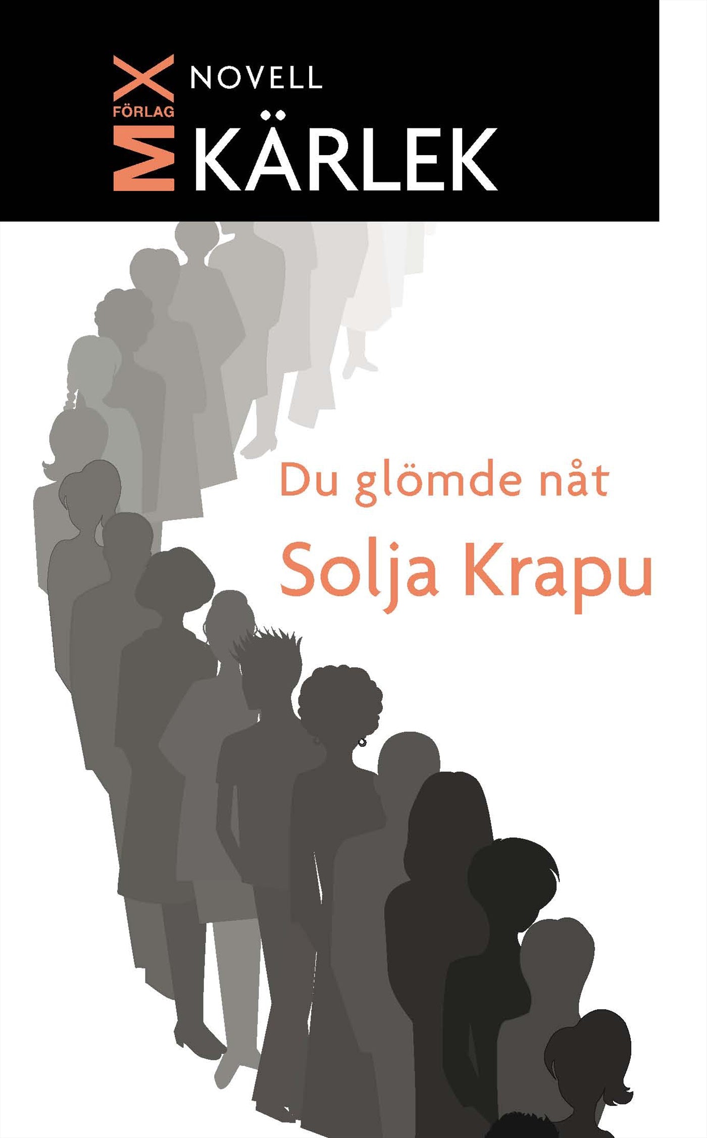 Du glömde nåt – E-bok