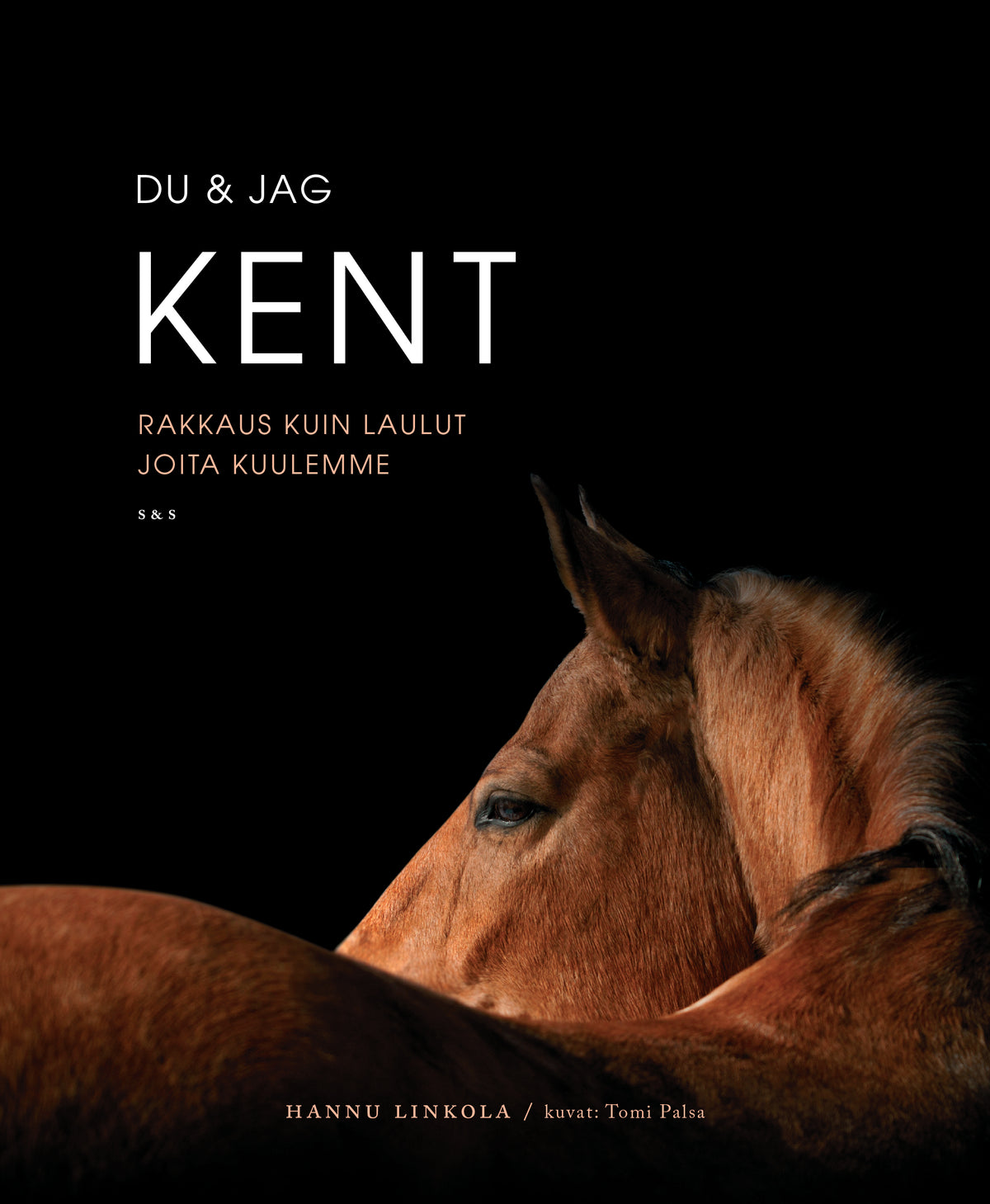 Du & jag Kent – E-bok