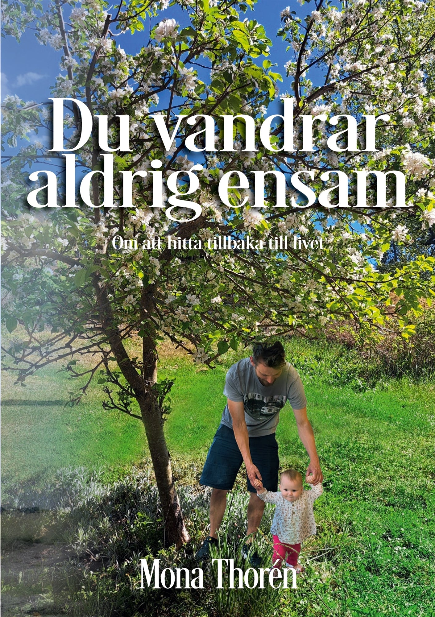 Du vandrar aldrig ensam: Om att hitta tillbaka till livet – E-bok