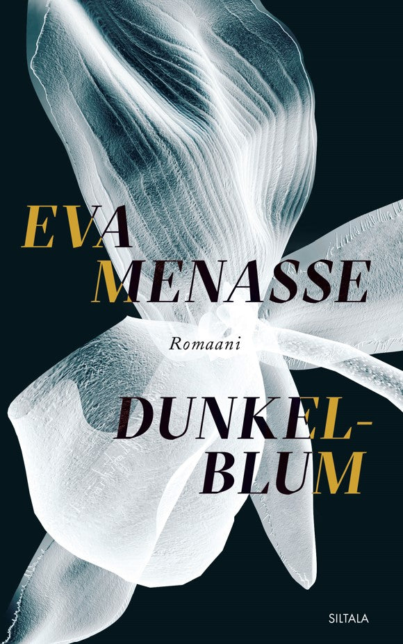 Dunkelblum – E-bok
