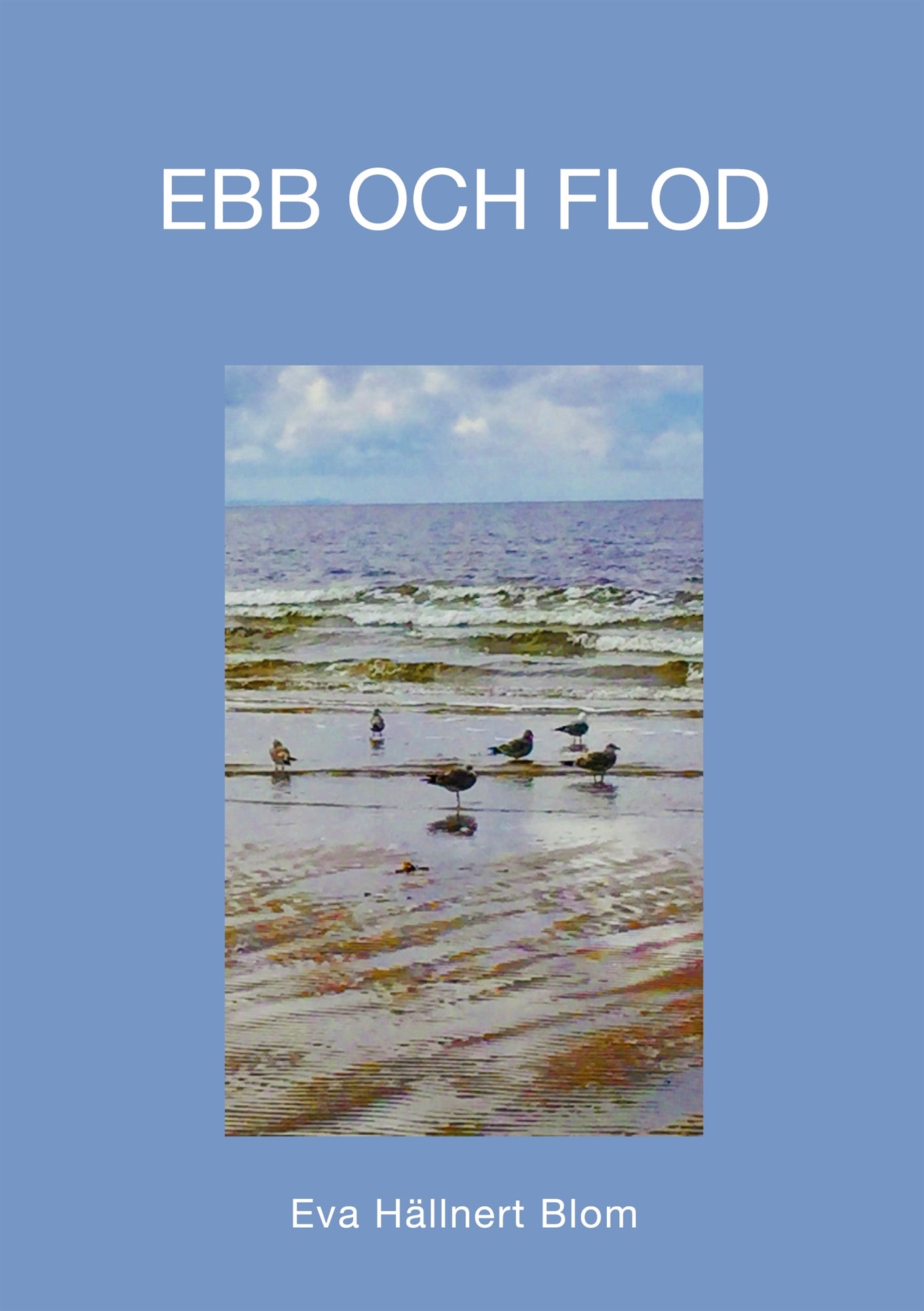 Ebb och flod: En livsresa med existentiella tankegångar – E-bok