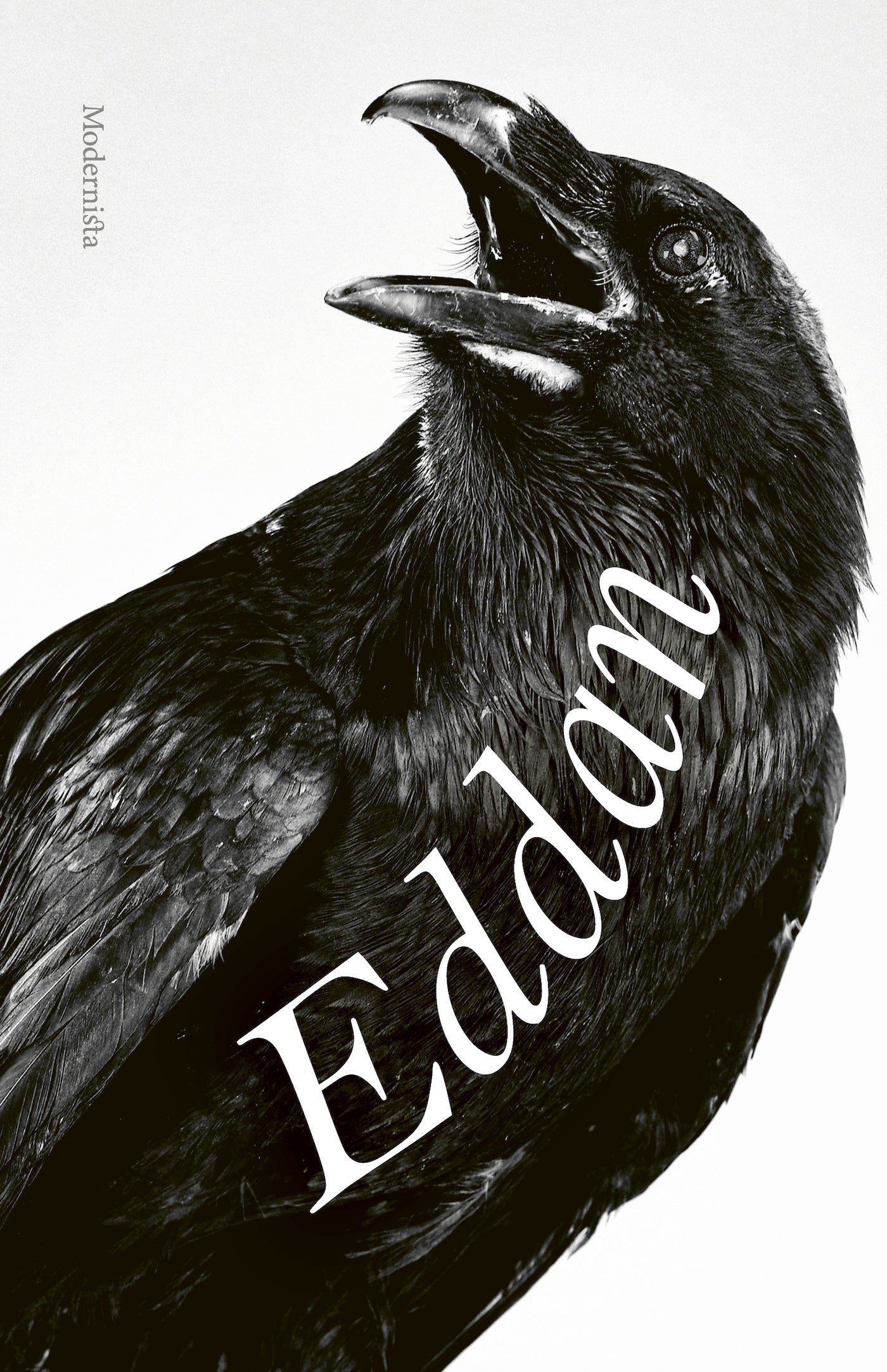 Eddan: De nordiska guda- och hjältesångerna – E-bok