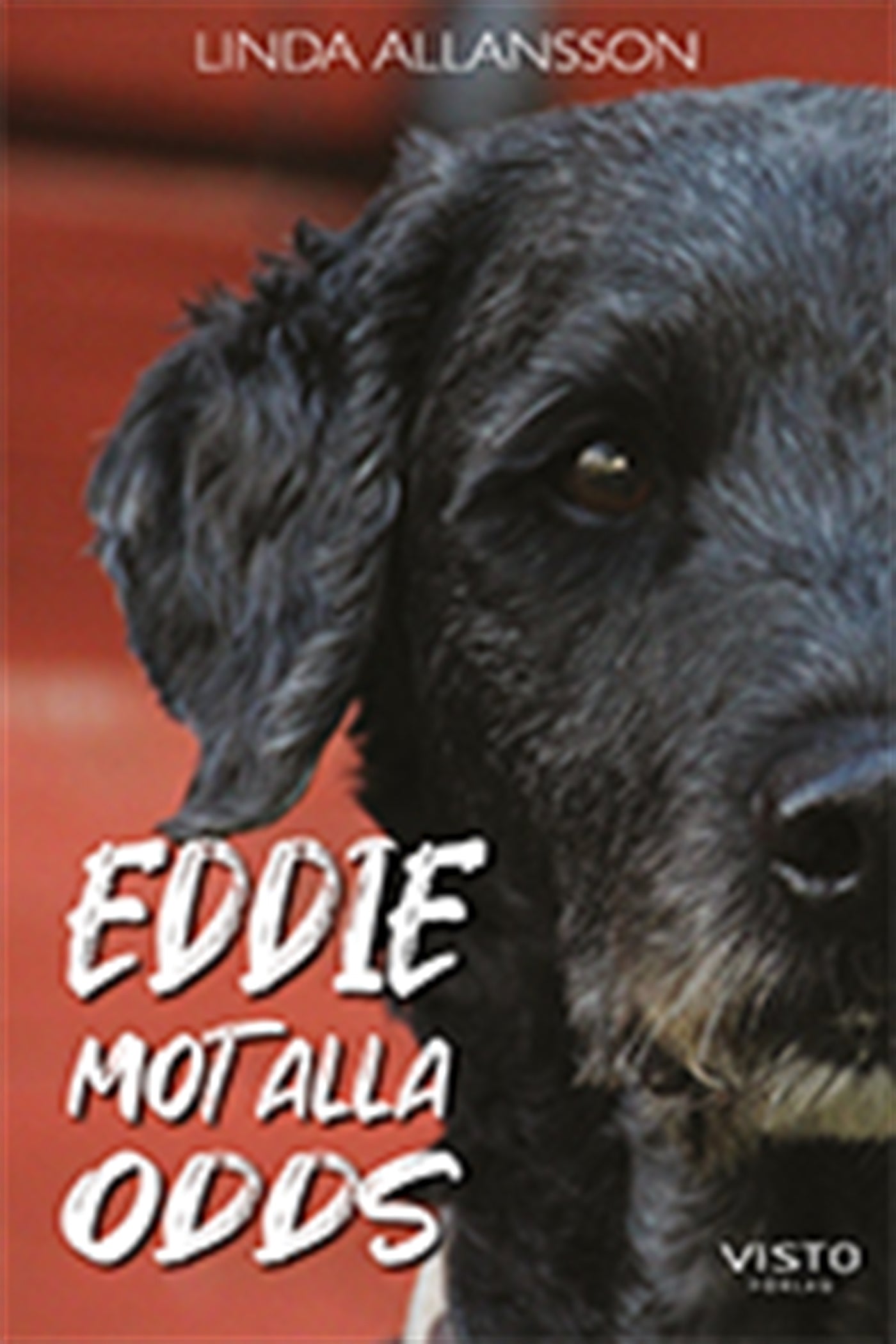 Eddie mot alla odds – E-bok