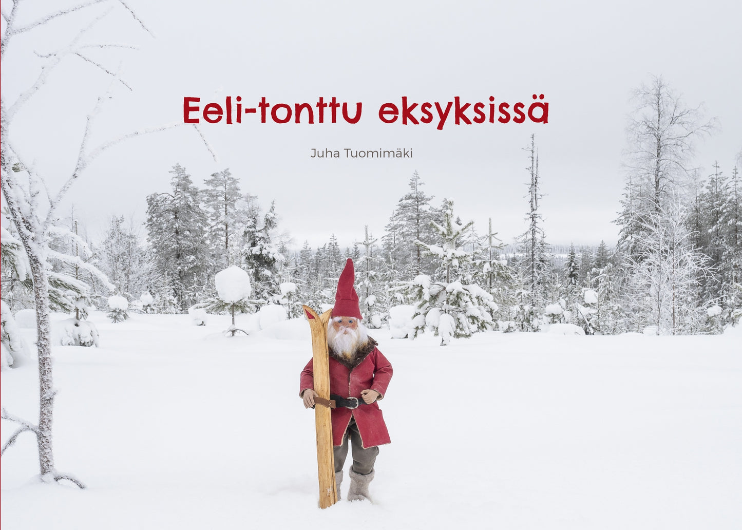 Eeli-tonttu eksyksissä – E-bok