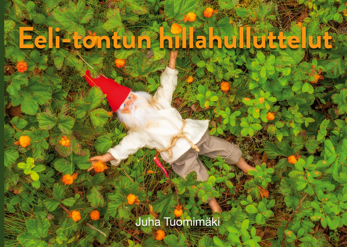 Eeli-tontun hillahulluttelut – E-bok