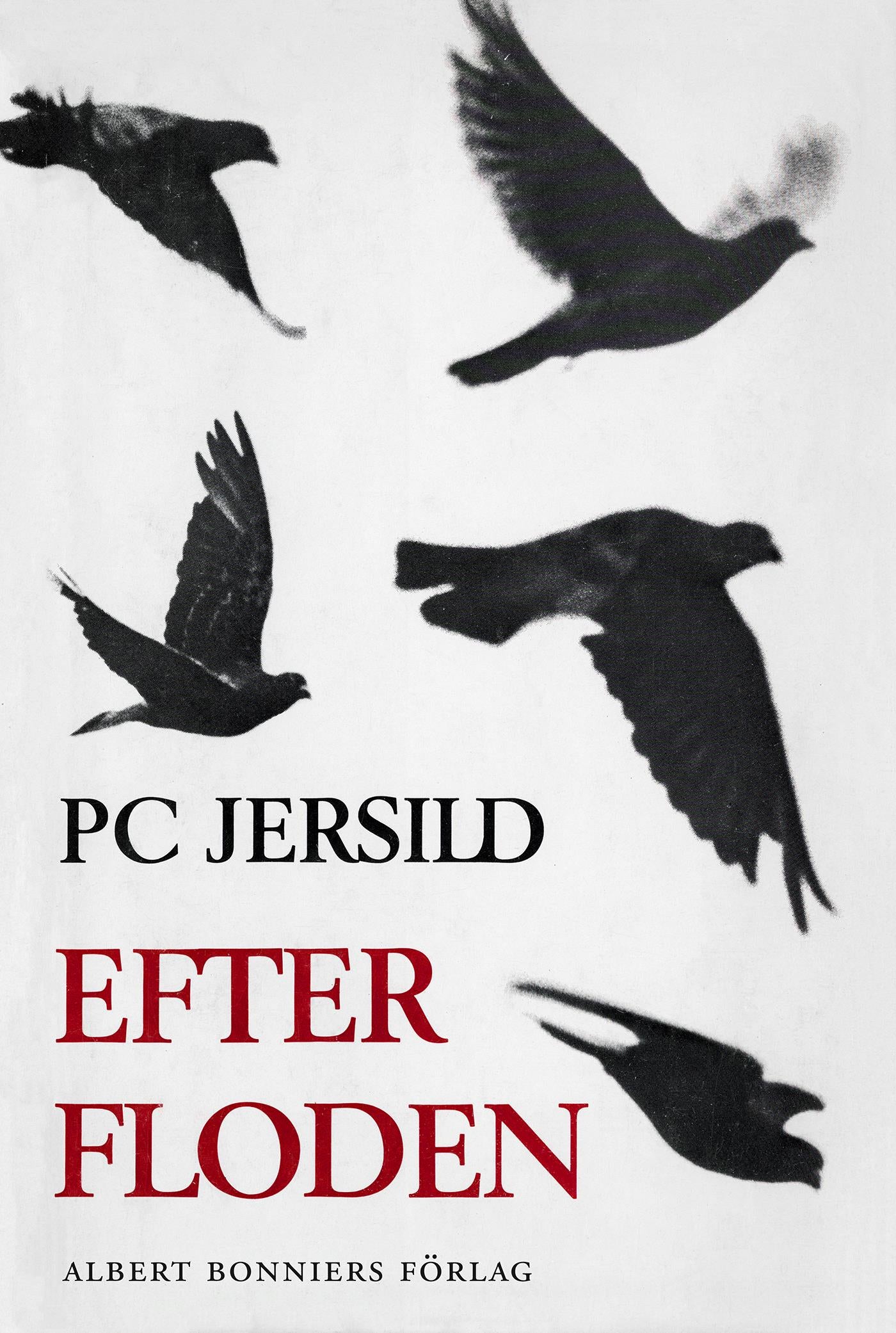 Efter floden – E-bok