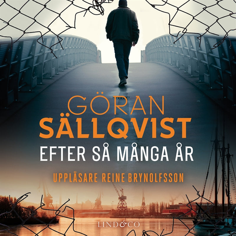 Efter så många år – Ljudbok