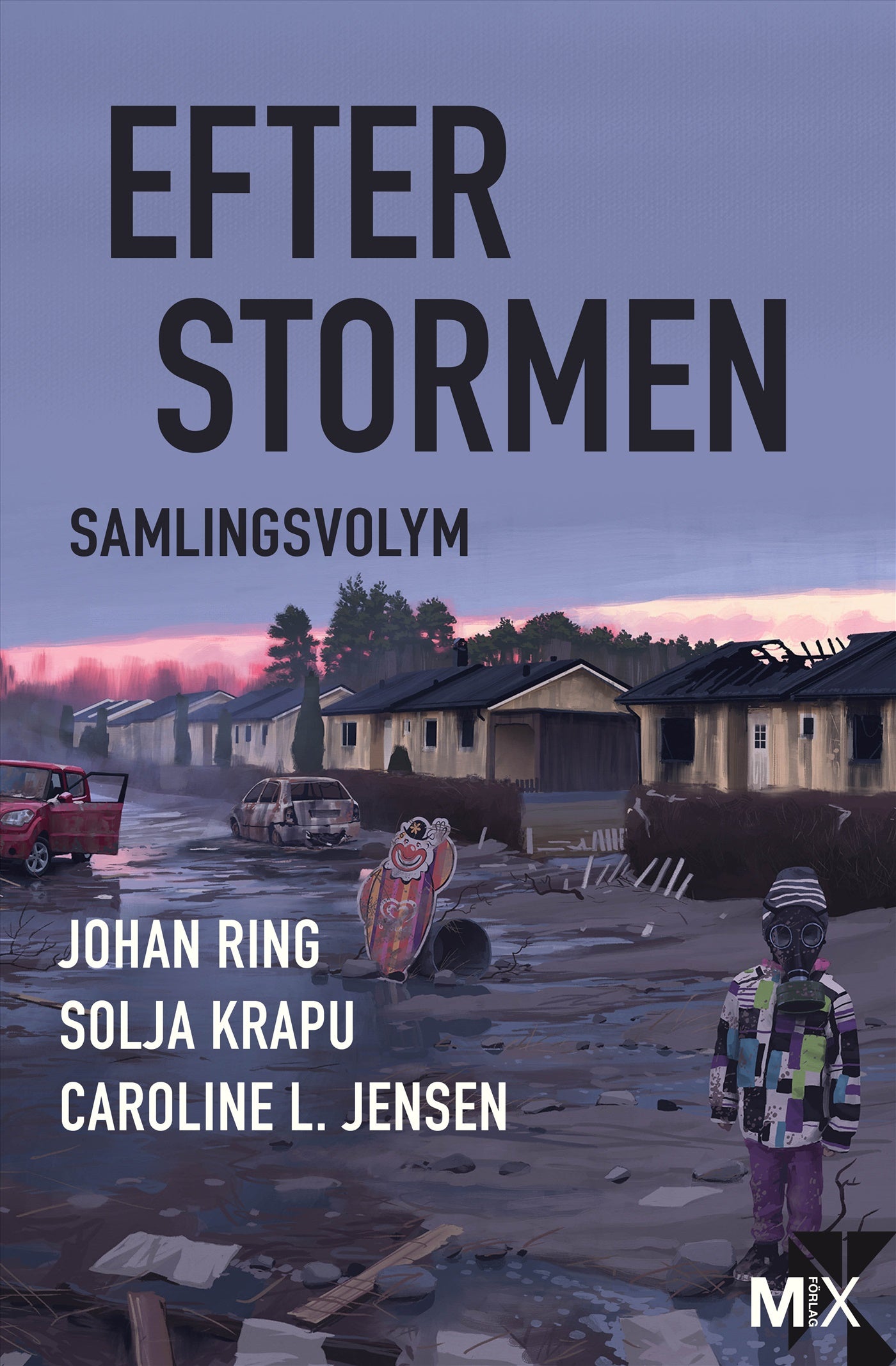 Efter stormen – E-bok
