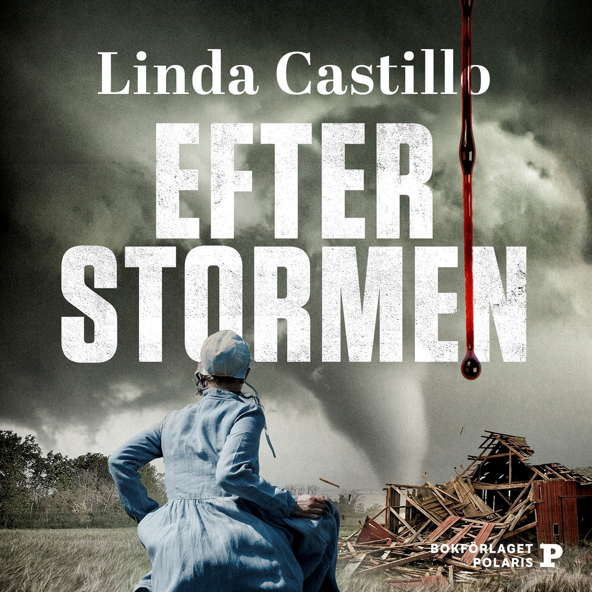 Efter stormen – Ljudbok