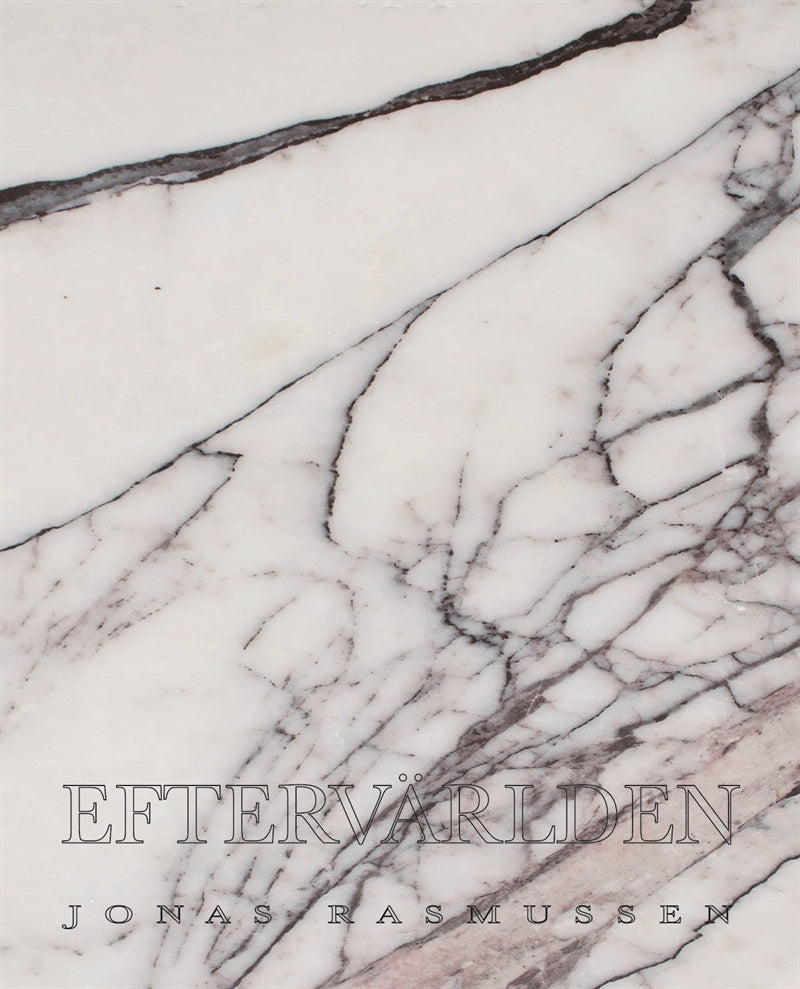Eftervärlden – E-bok