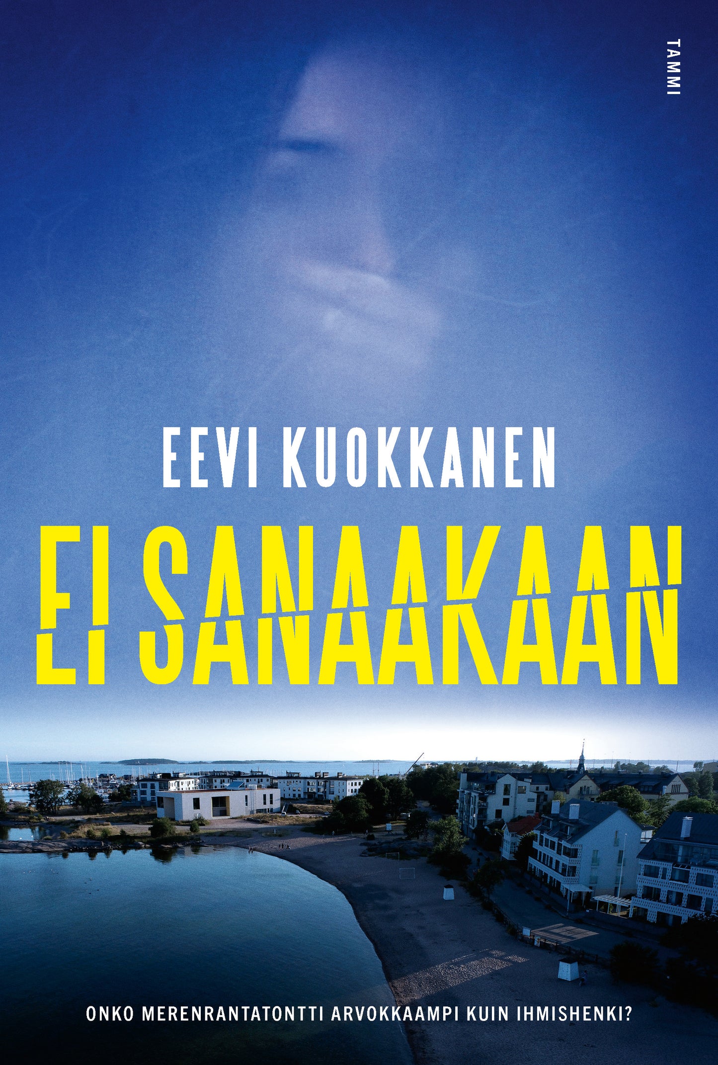 Ei sanaakaan – E-bok