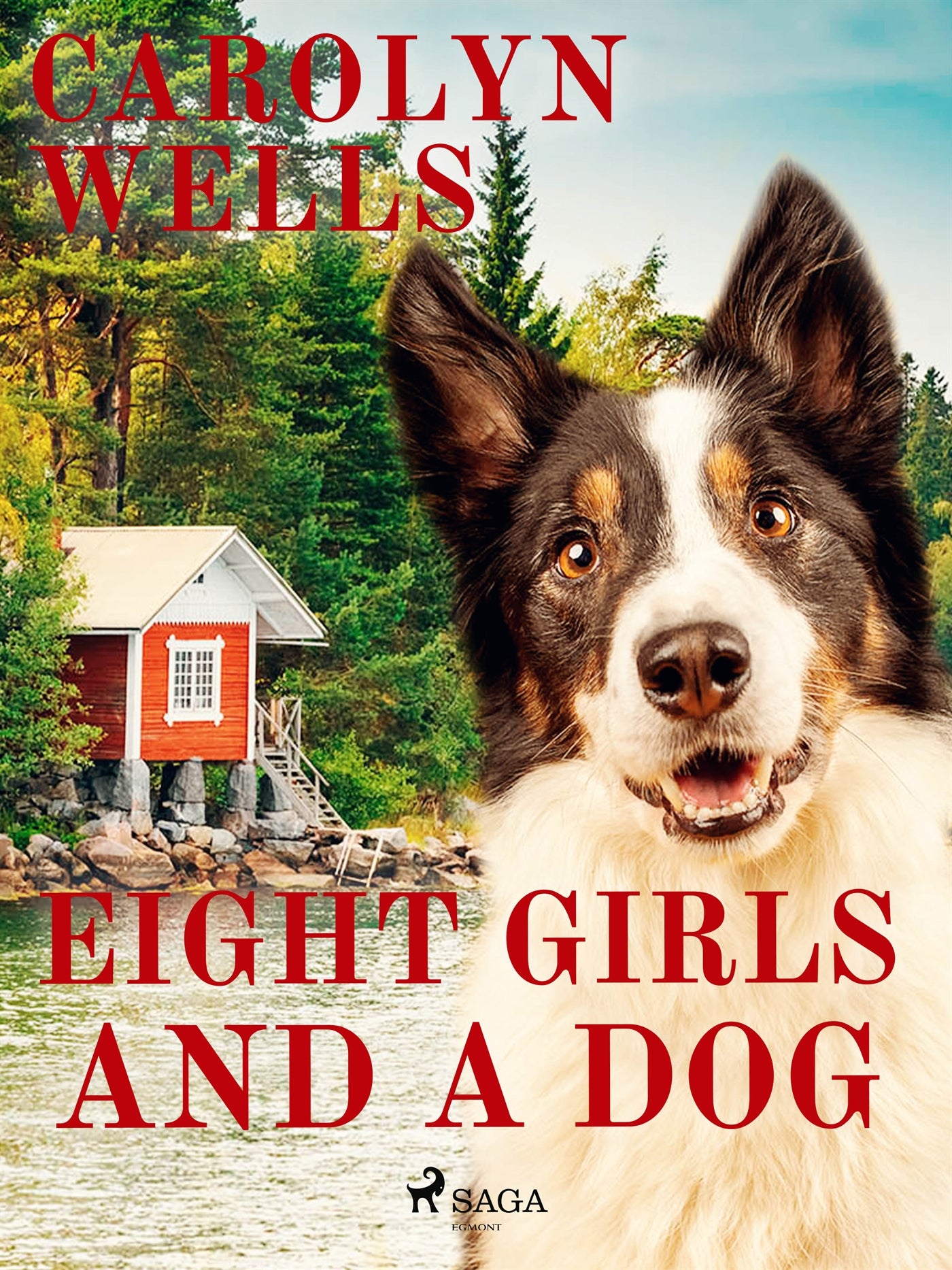 Eight Girls and a Dog – E-bok