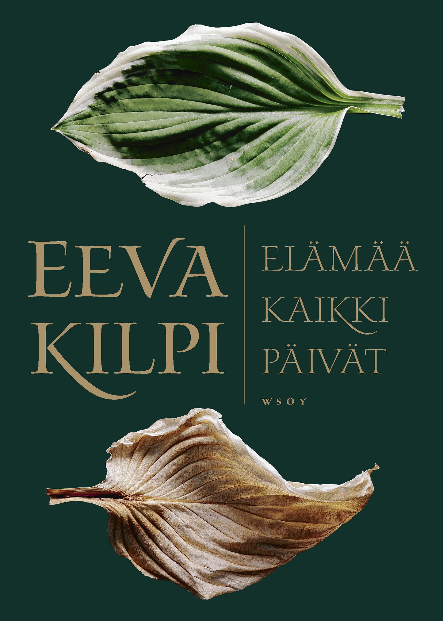 Elämää kaikki päivät – E-bok