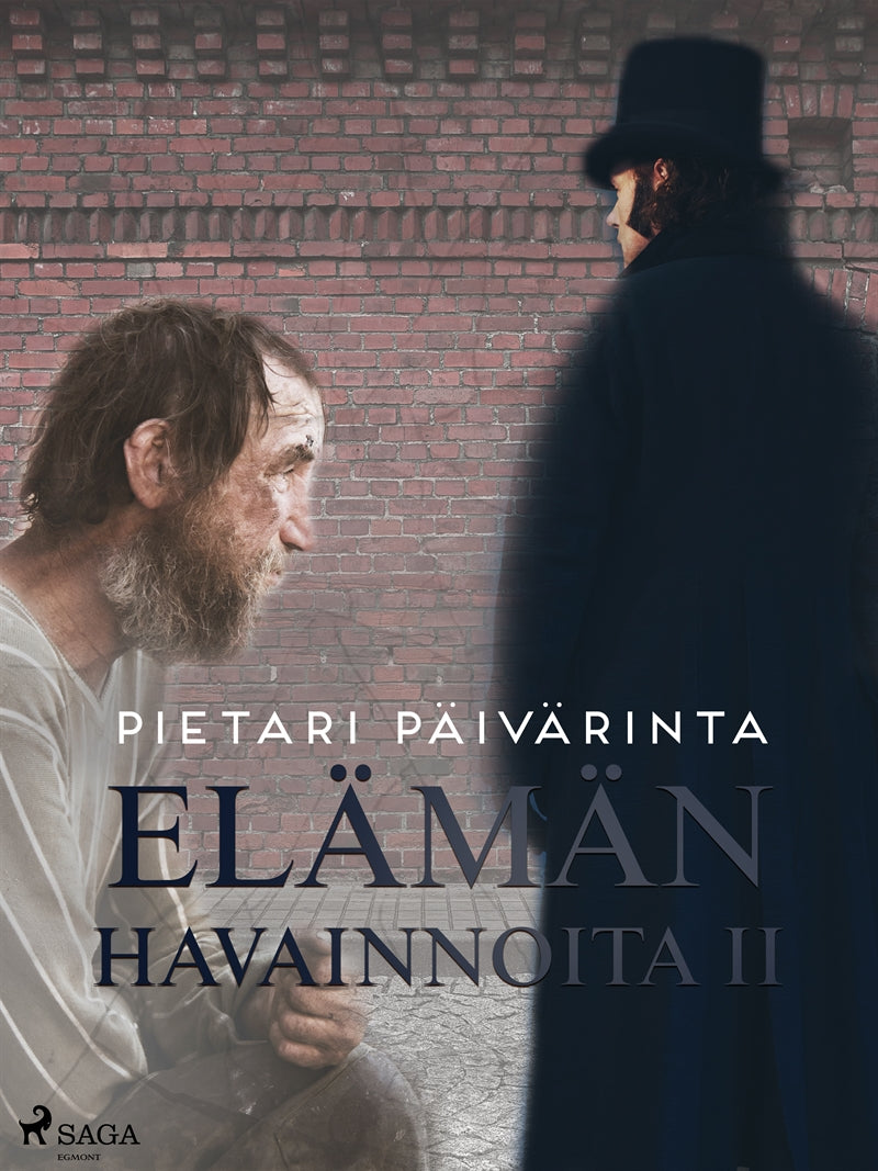 Elämän havainnoita II – E-bok