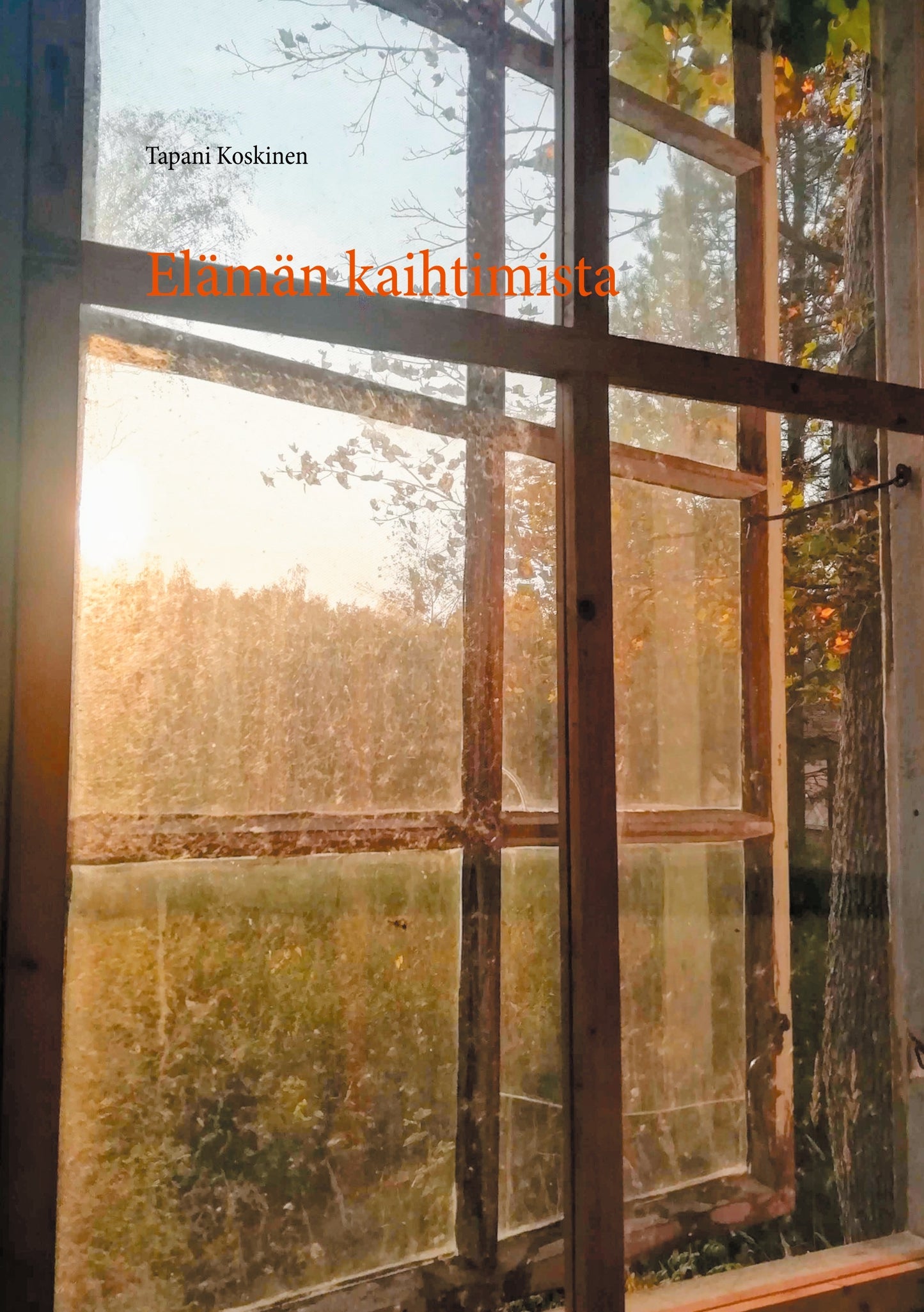 Elämän kaihtimista – E-bok