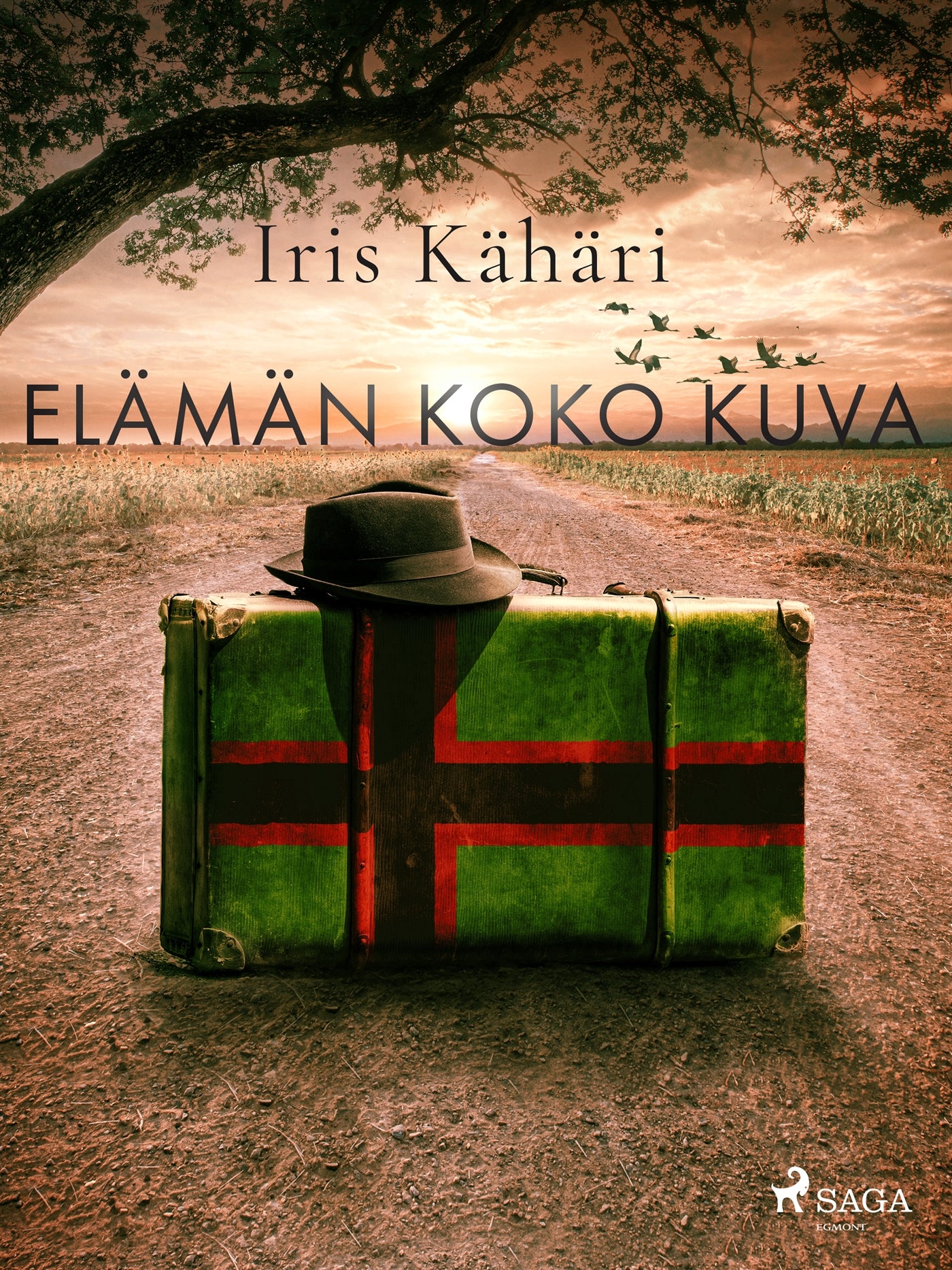 Elämän koko kuva – E-bok