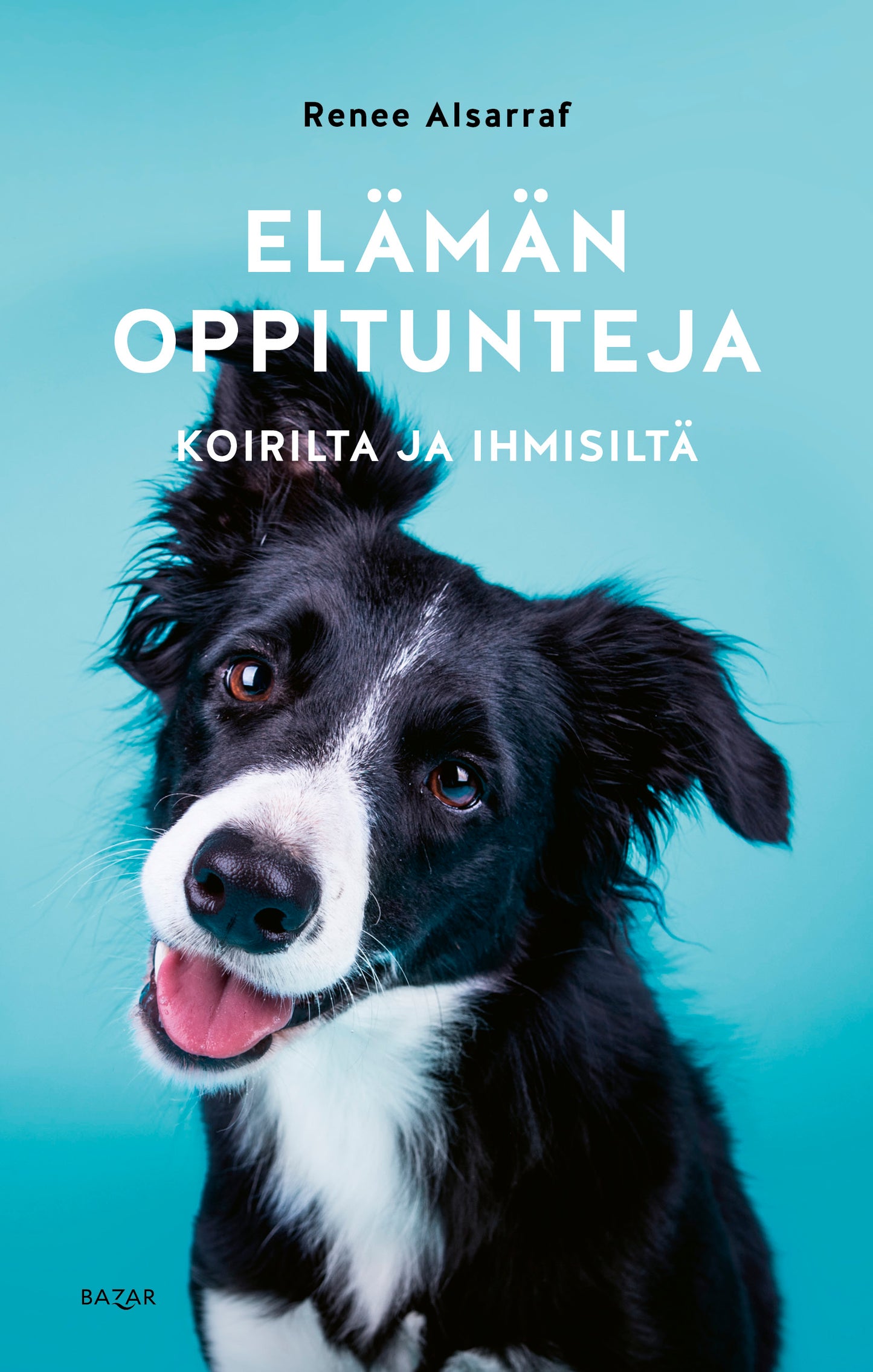 Elämän oppitunteja koirilta ja ihmisiltä – E-bok