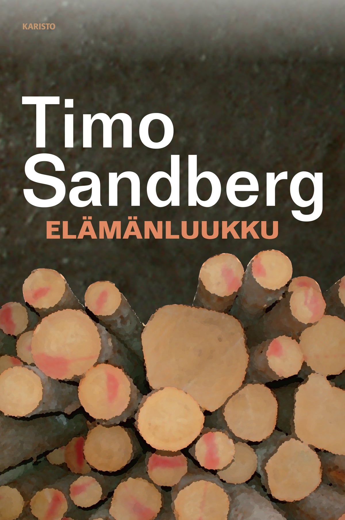 Elämänluukku – E-bok