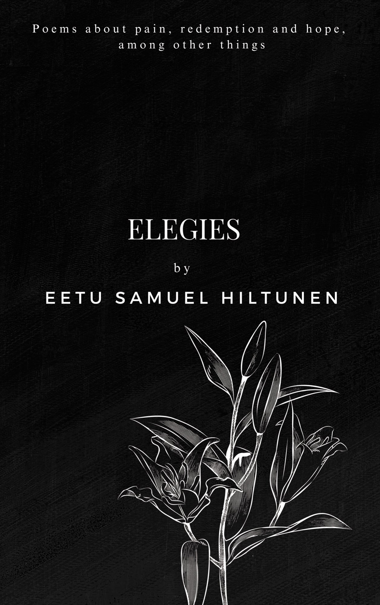 Elegies: Poems about pain, redemption and hope, among other things – E-bok