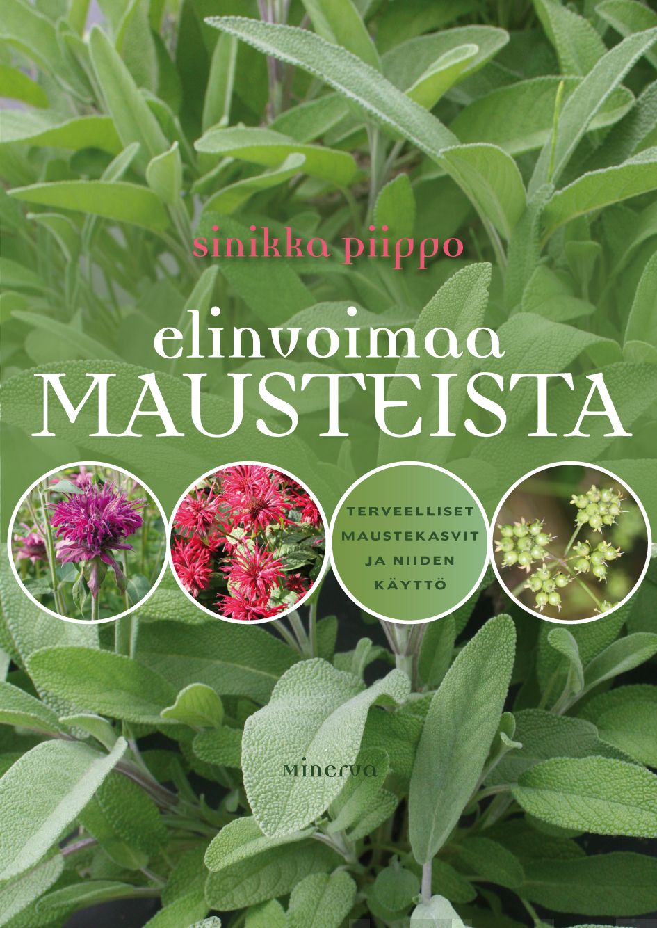 Elinvoimaa mausteista – E-bok