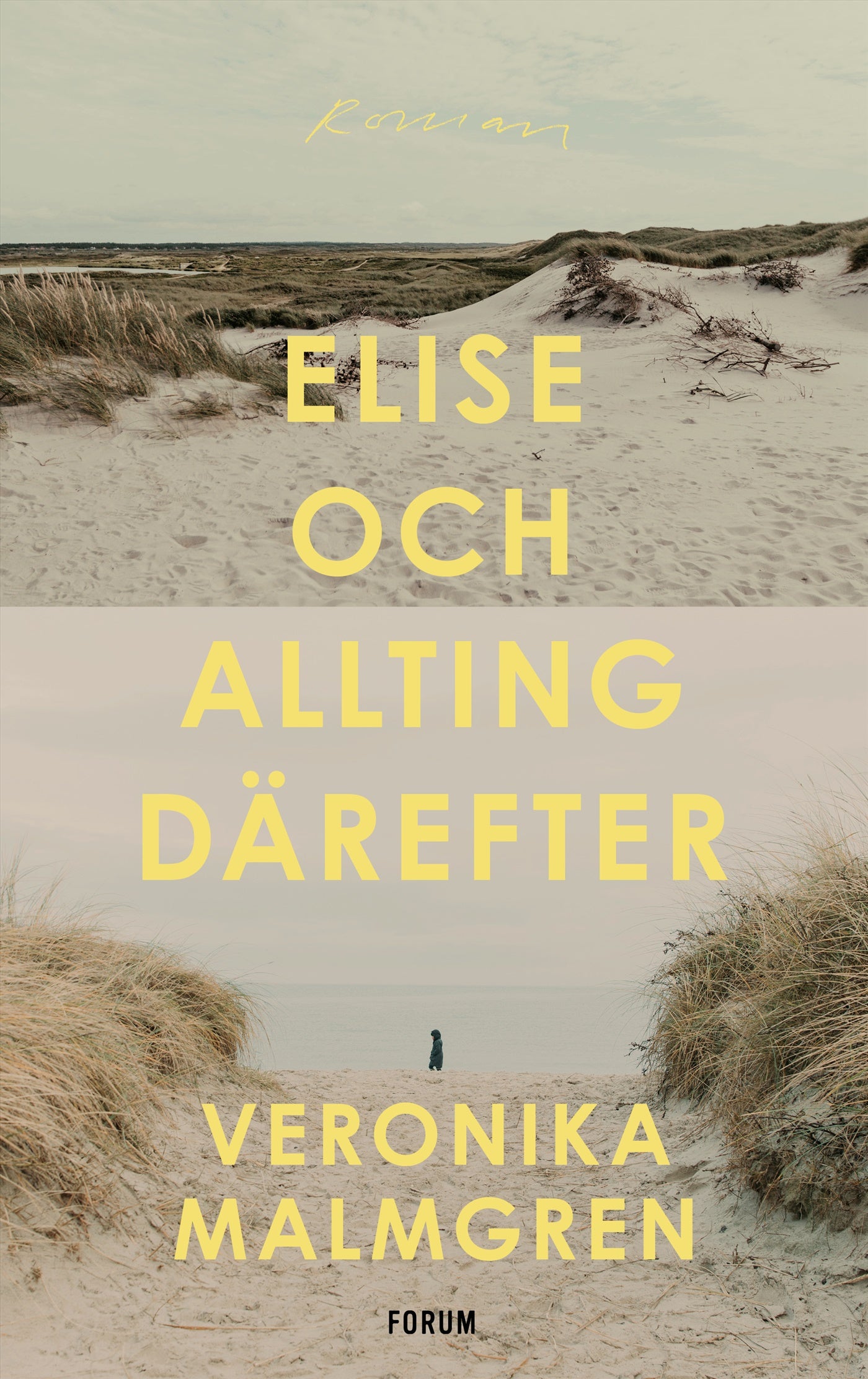 Elise och allting därefter – E-bok