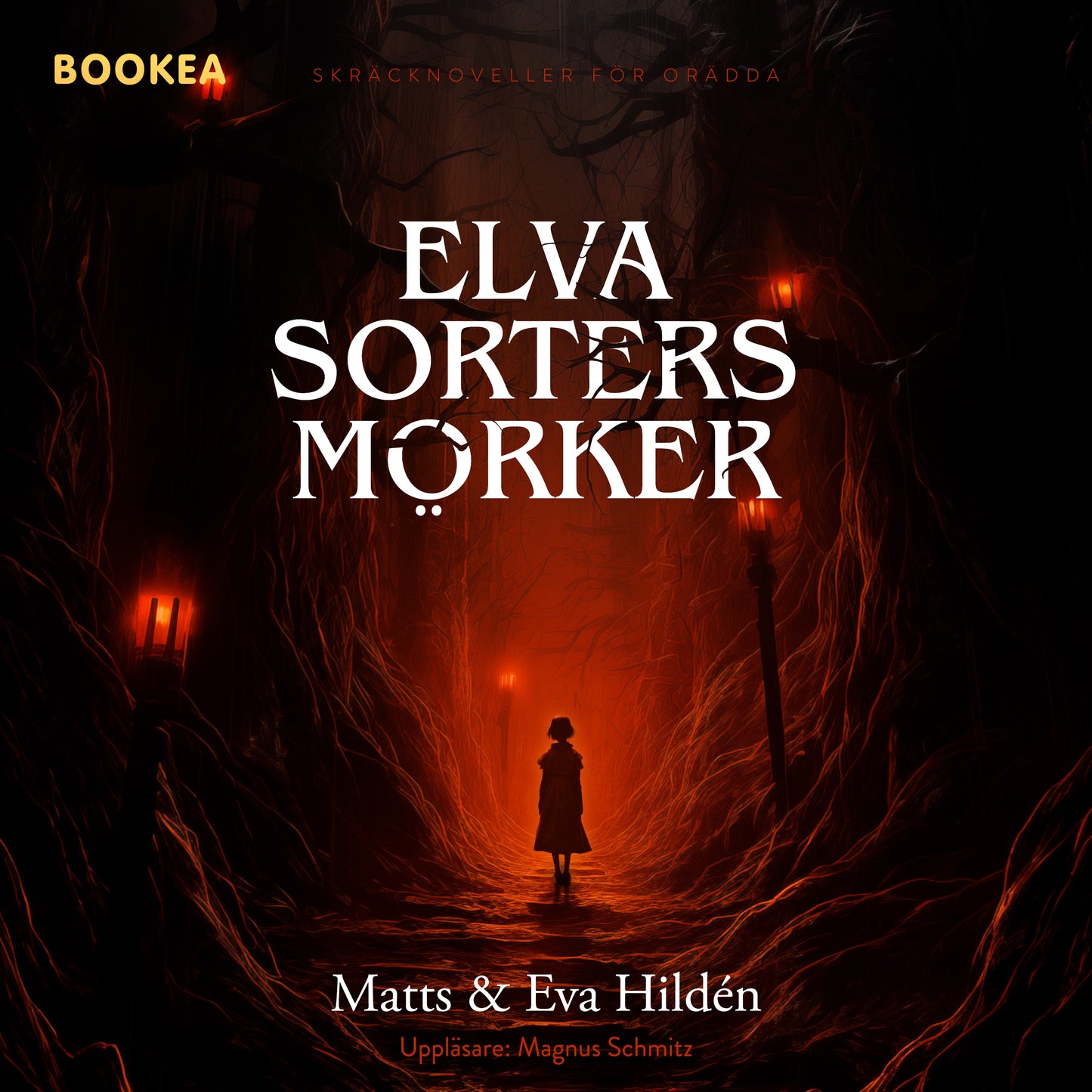 Elva sorters mörker : skräcknoveller för orädda – Ljudbok