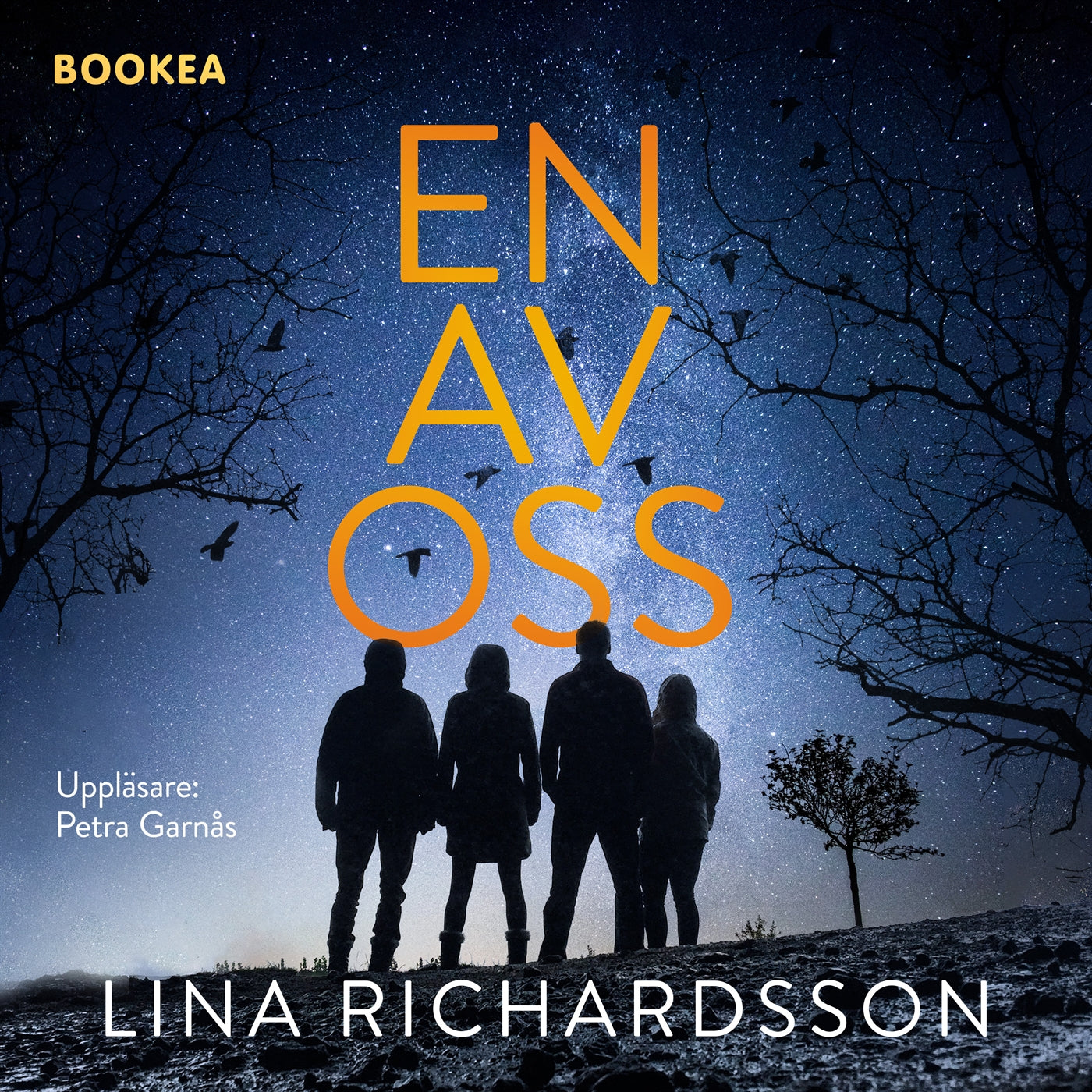 En av oss – Ljudbok