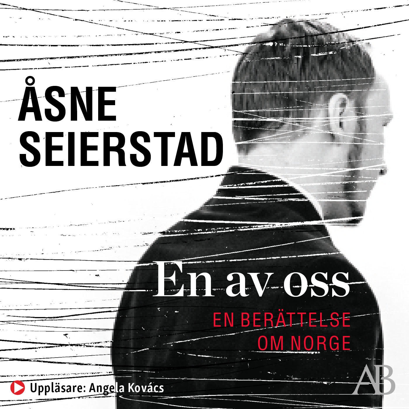 En av oss : en berättelse om Norge – Ljudbok