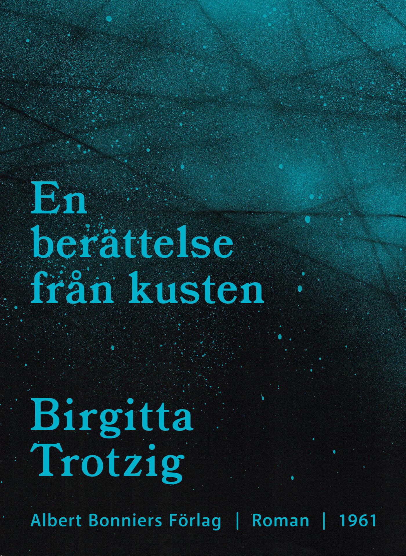 En berättelse från kusten – E-bok