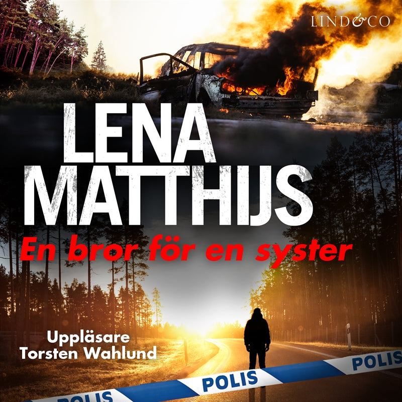 En bror för en syster – Ljudbok
