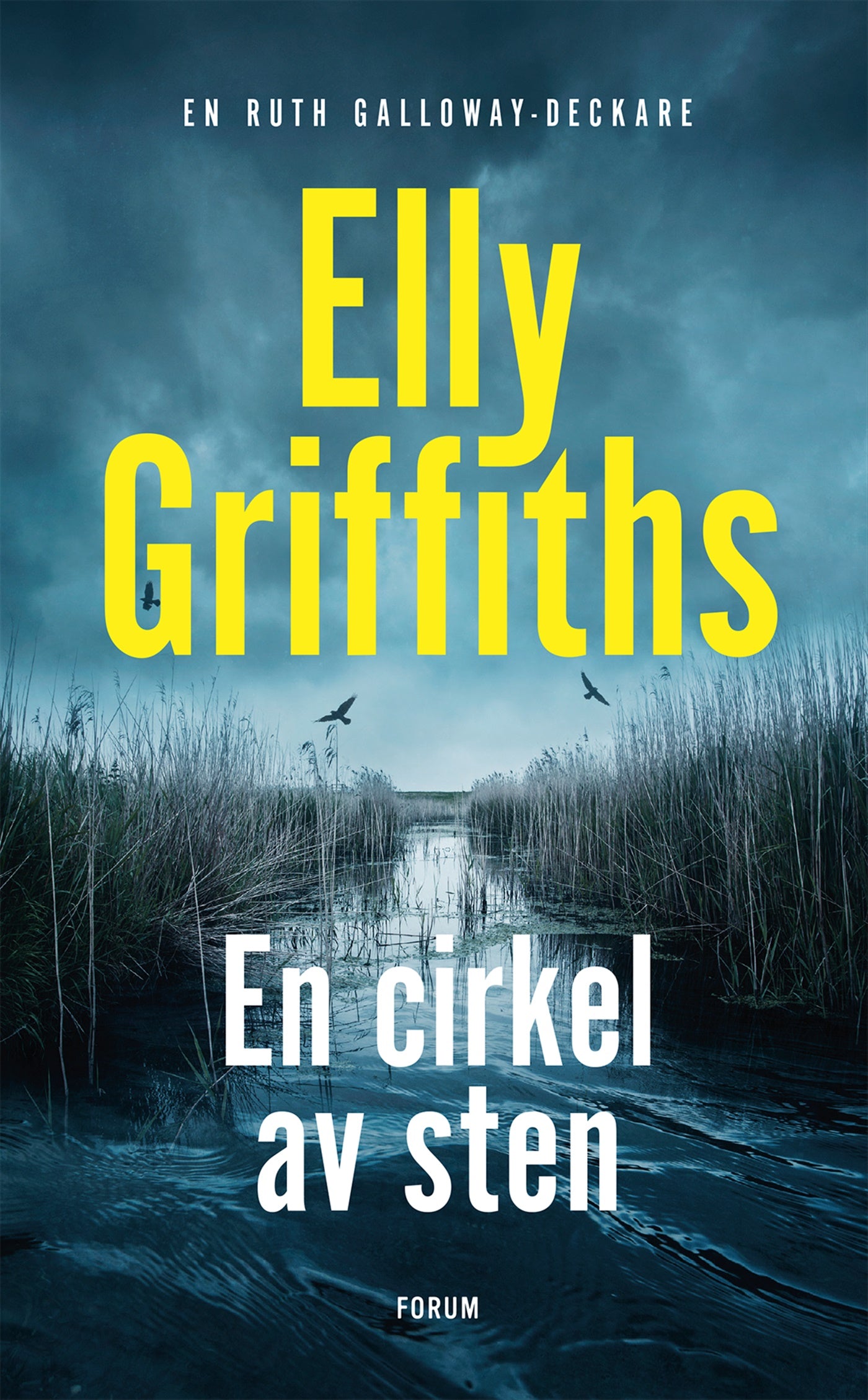 En cirkel av sten – E-bok