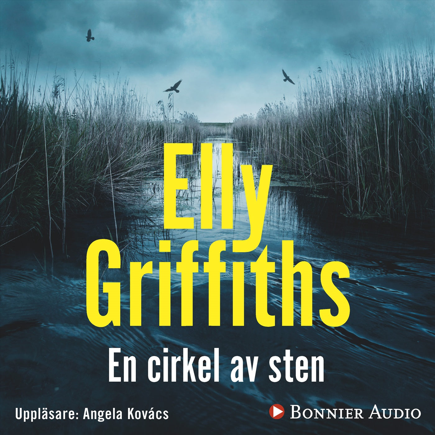 En cirkel av sten – Ljudbok