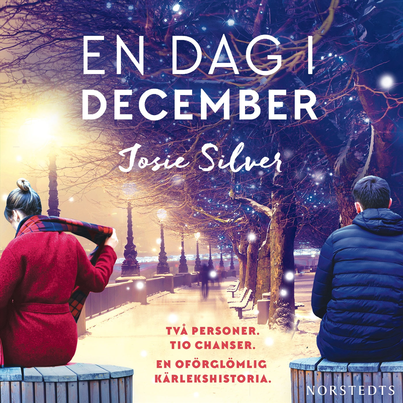 En dag i december – Ljudbok