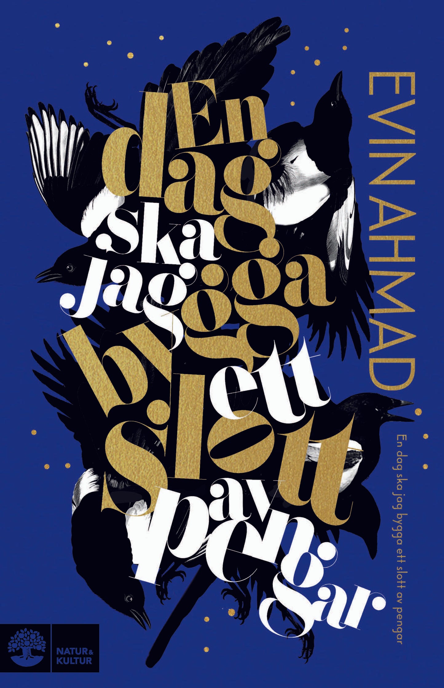 En dag ska jag bygga ett slott av pengar – E-bok