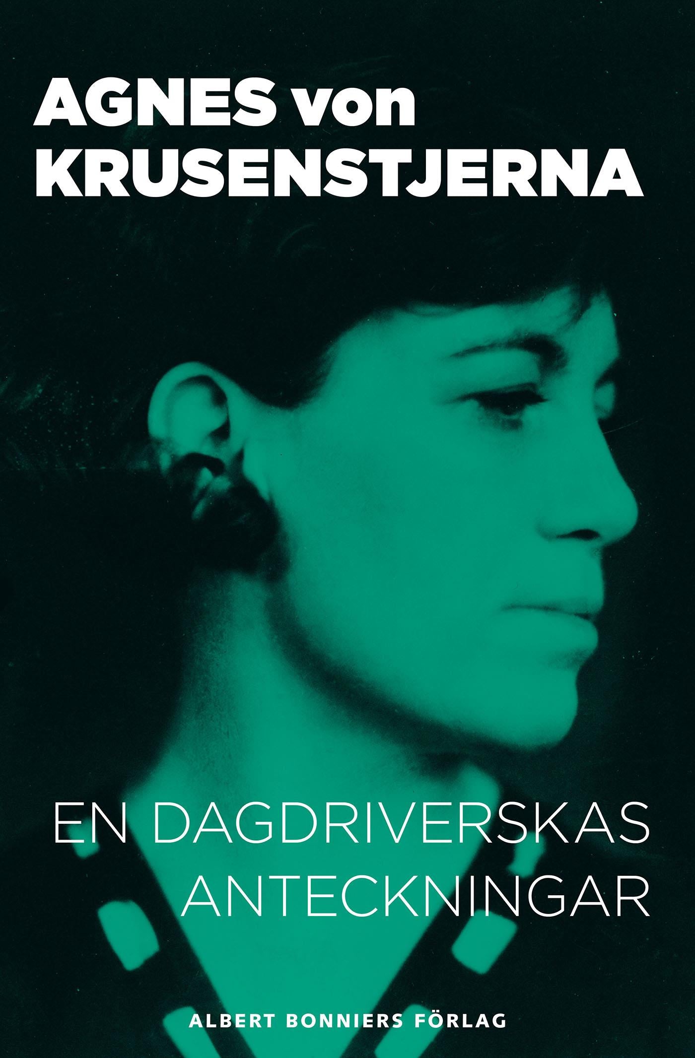 En dagdriverskas anteckningar: silhuetter, skisser och fantasistycken – E-bok