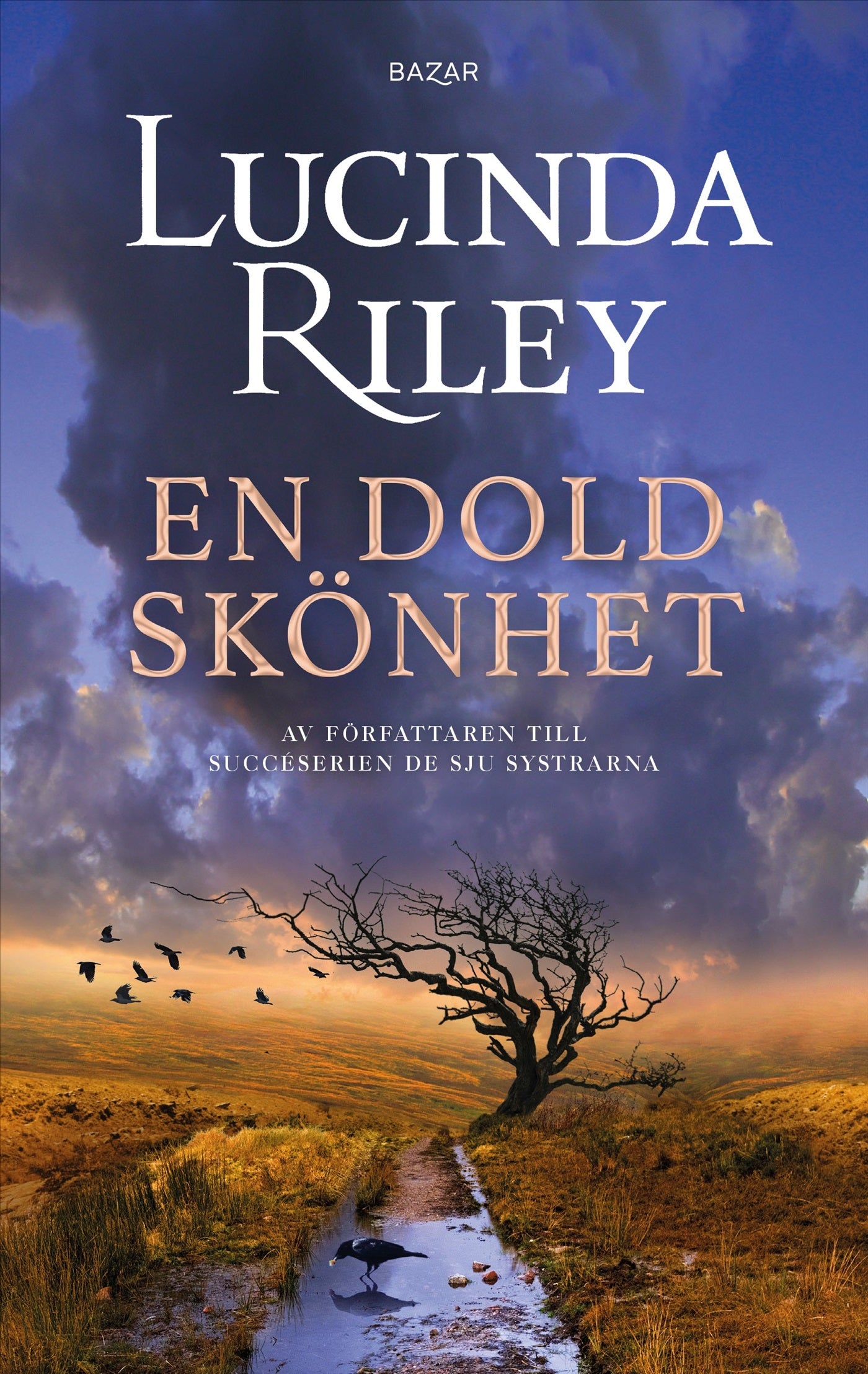 En dold skönhet – E-bok