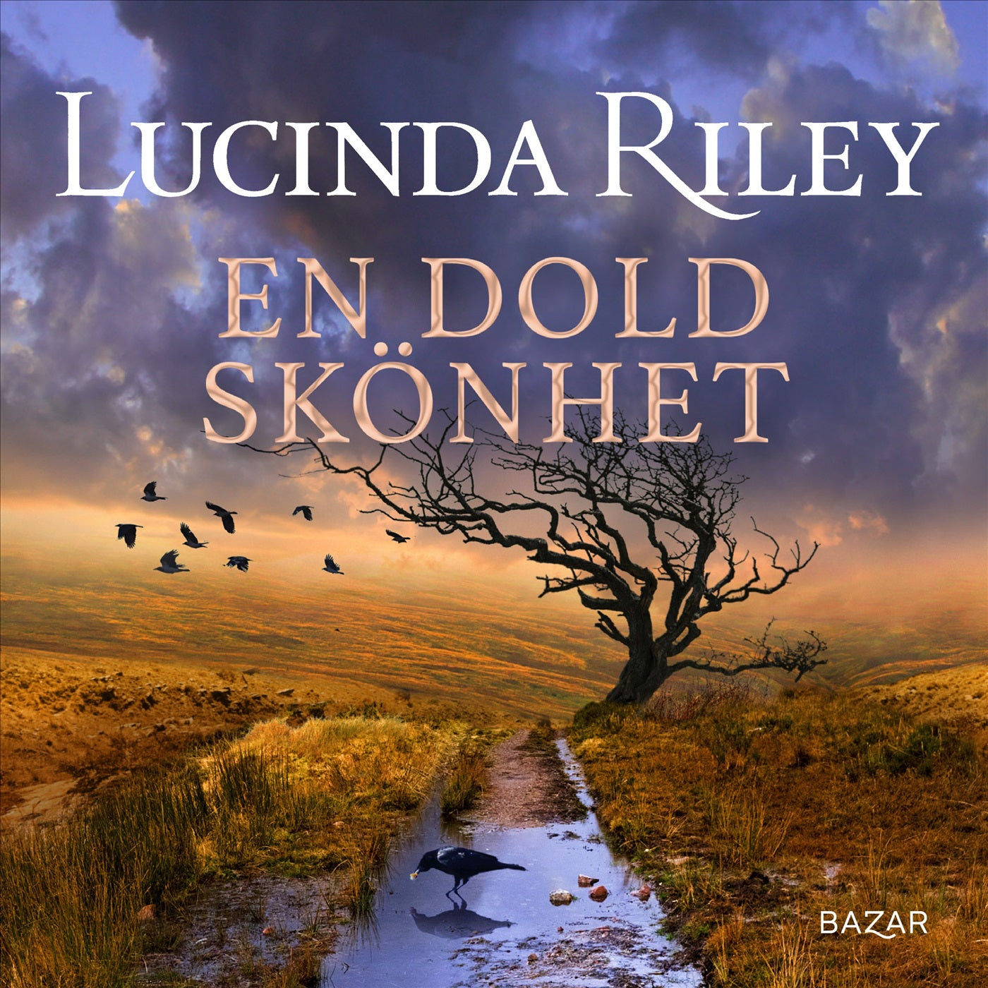 En dold skönhet – Ljudbok