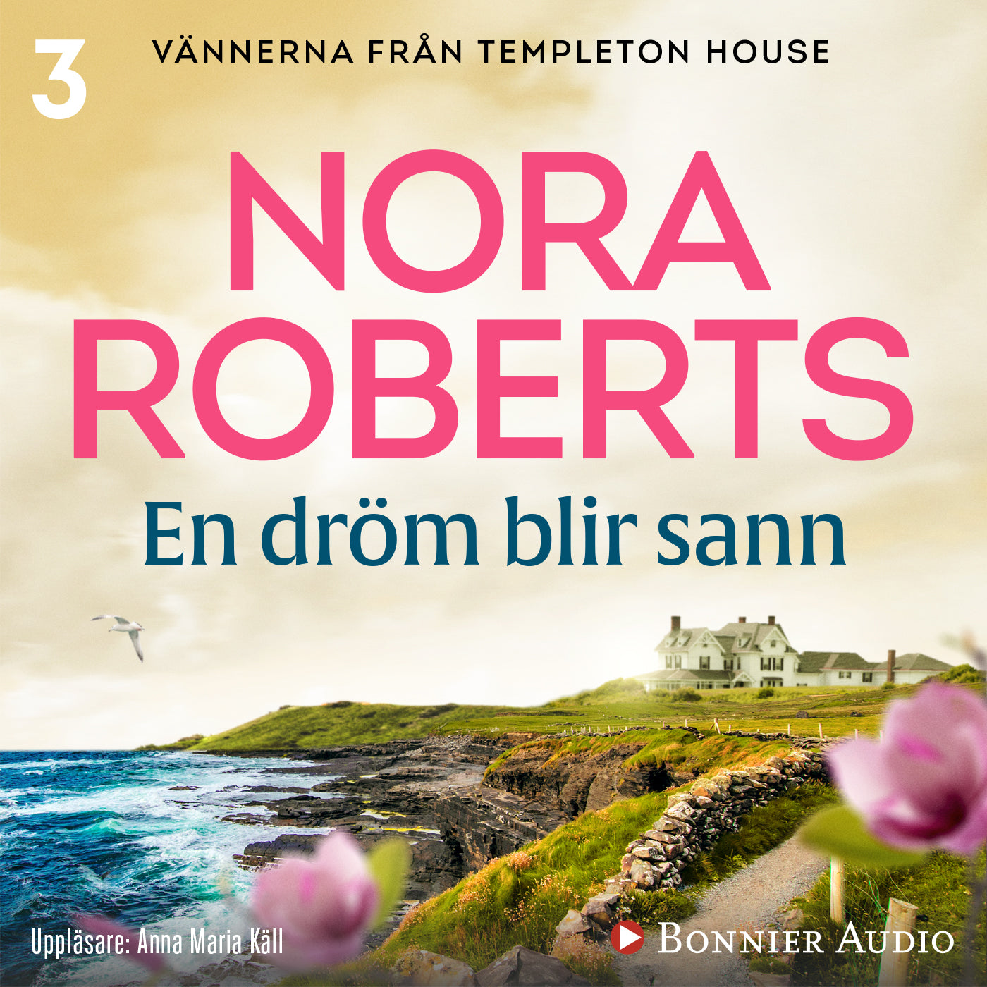 En dröm blir sann – Ljudbok