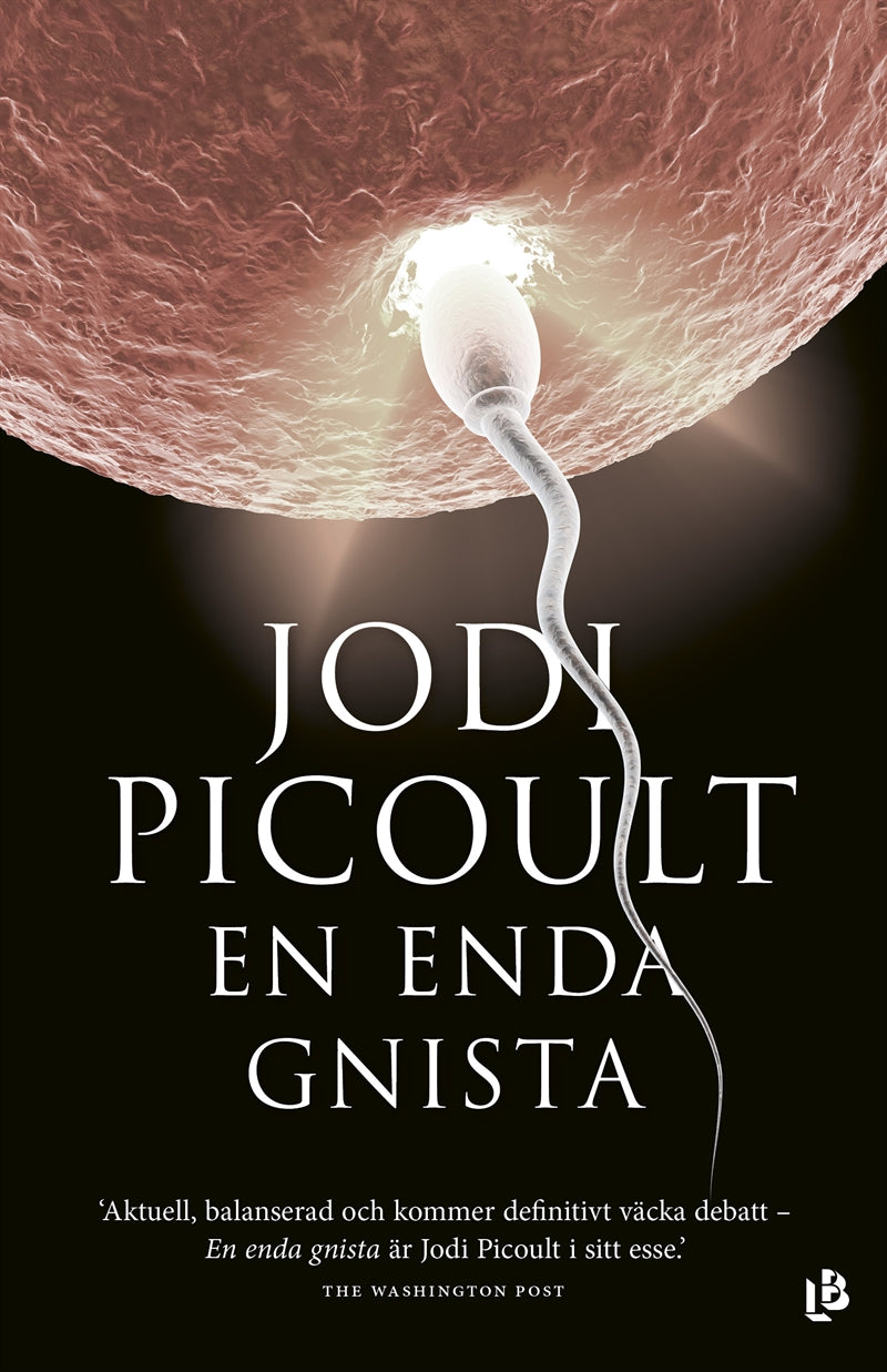 En enda gnista – E-bok