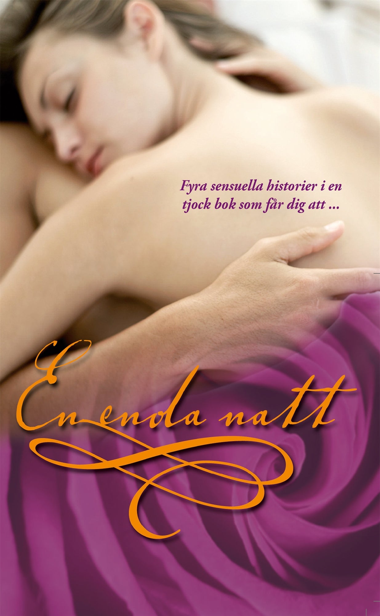 En enda natt – E-bok