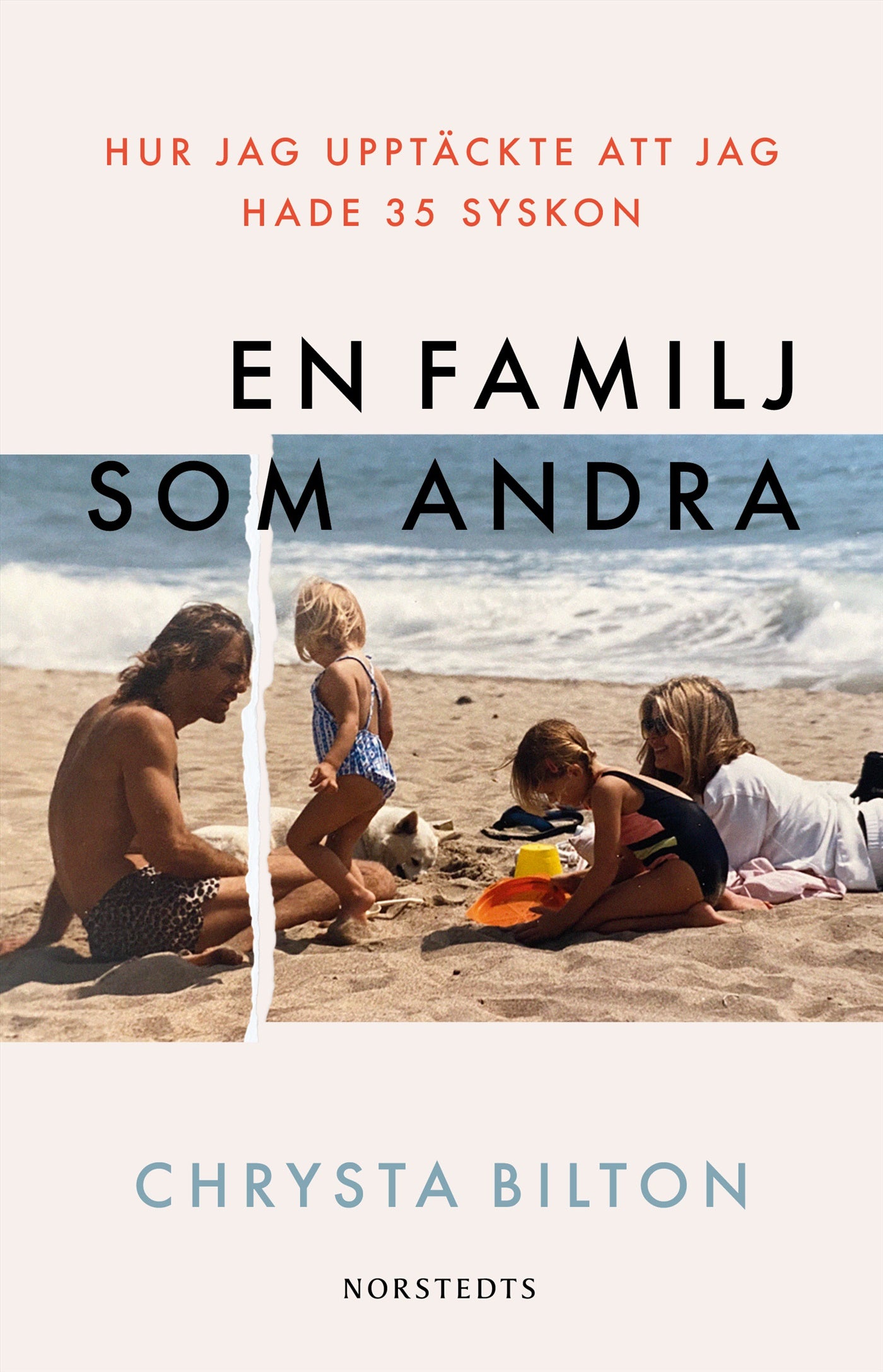 En familj som andra : hur jag upptäckte att jag hade 35 syskon – E-bok
