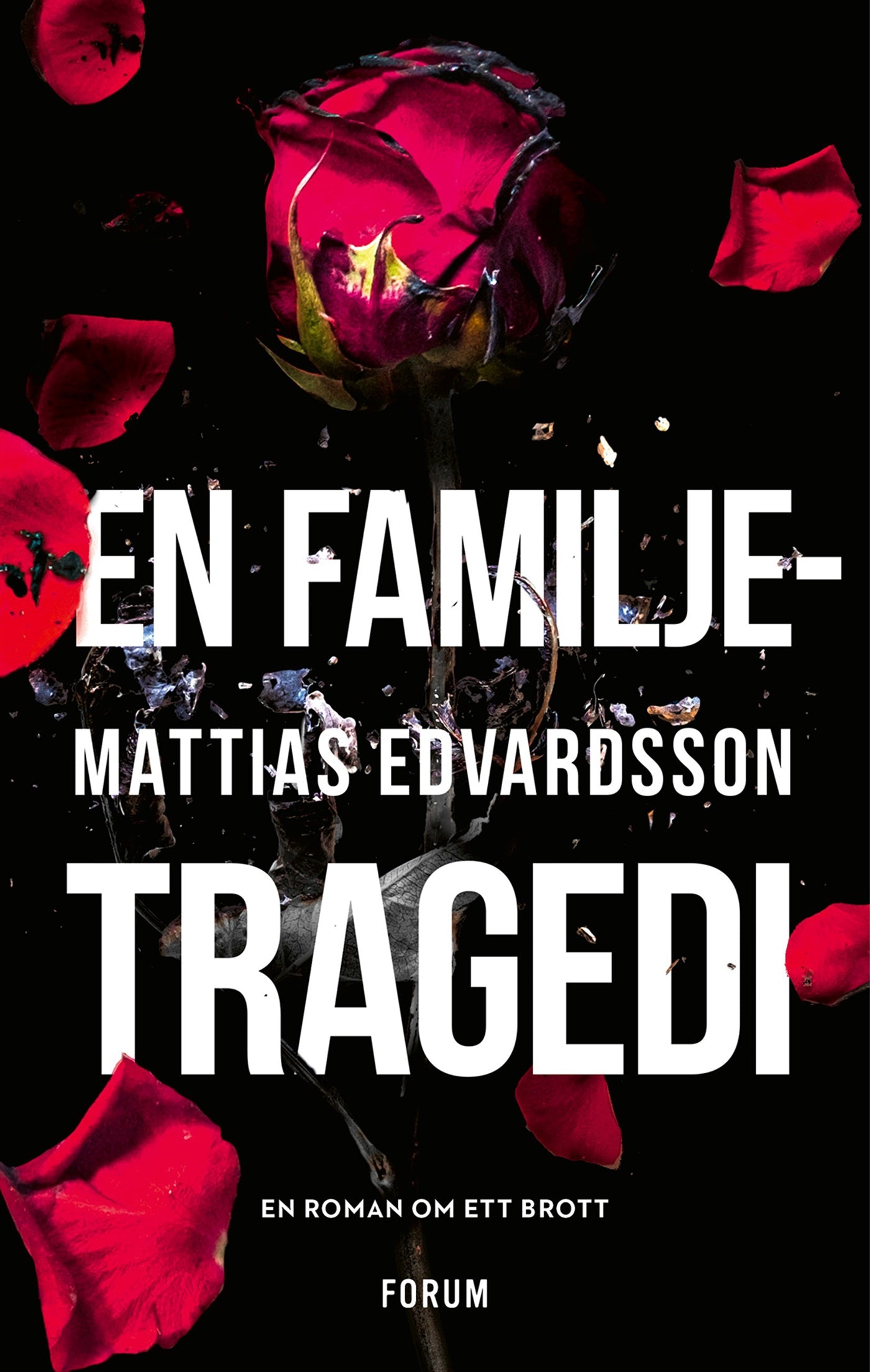 En familjetragedi – E-bok