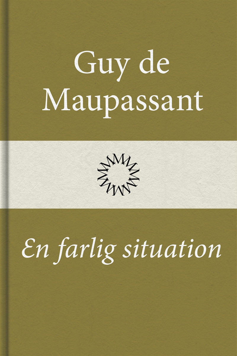 En farlig situation – E-bok