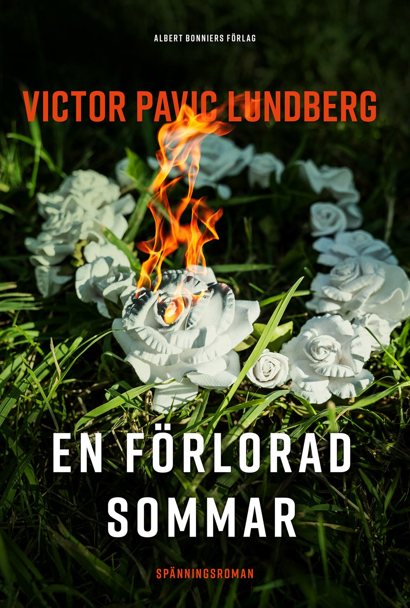 En förlorad sommar – E-bok